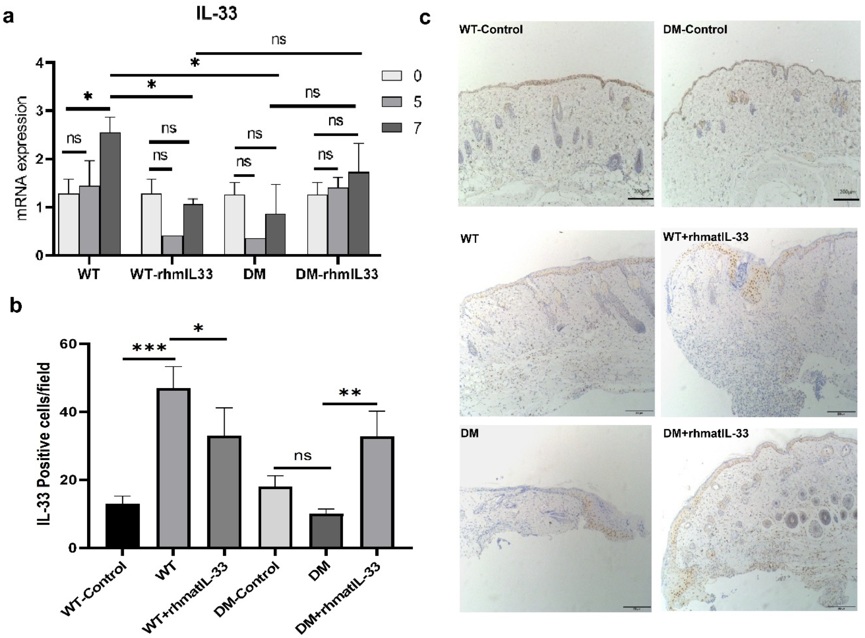 Bioengineering 09 00734 g004