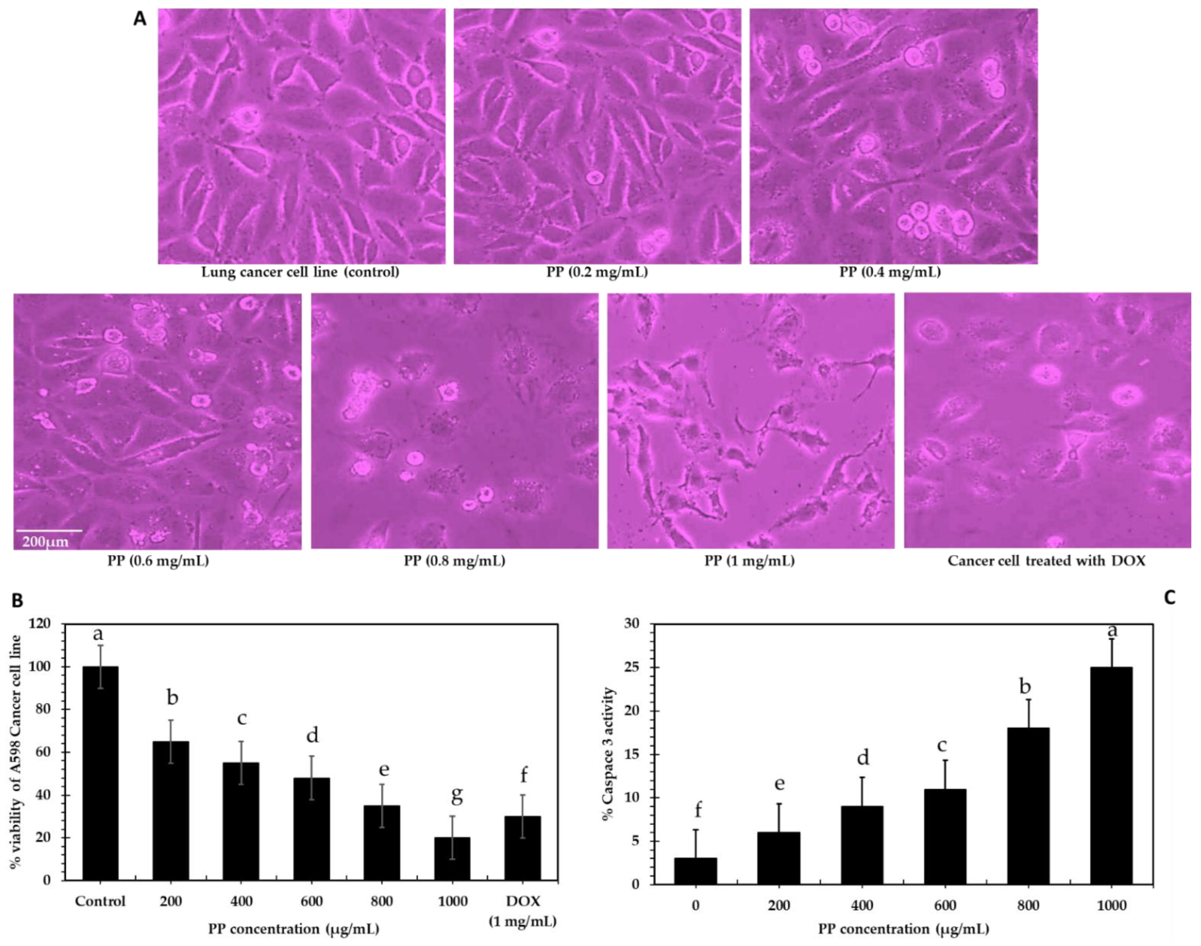 Bioengineering 09 00735 g003 Bioengineering 09 00735 g003