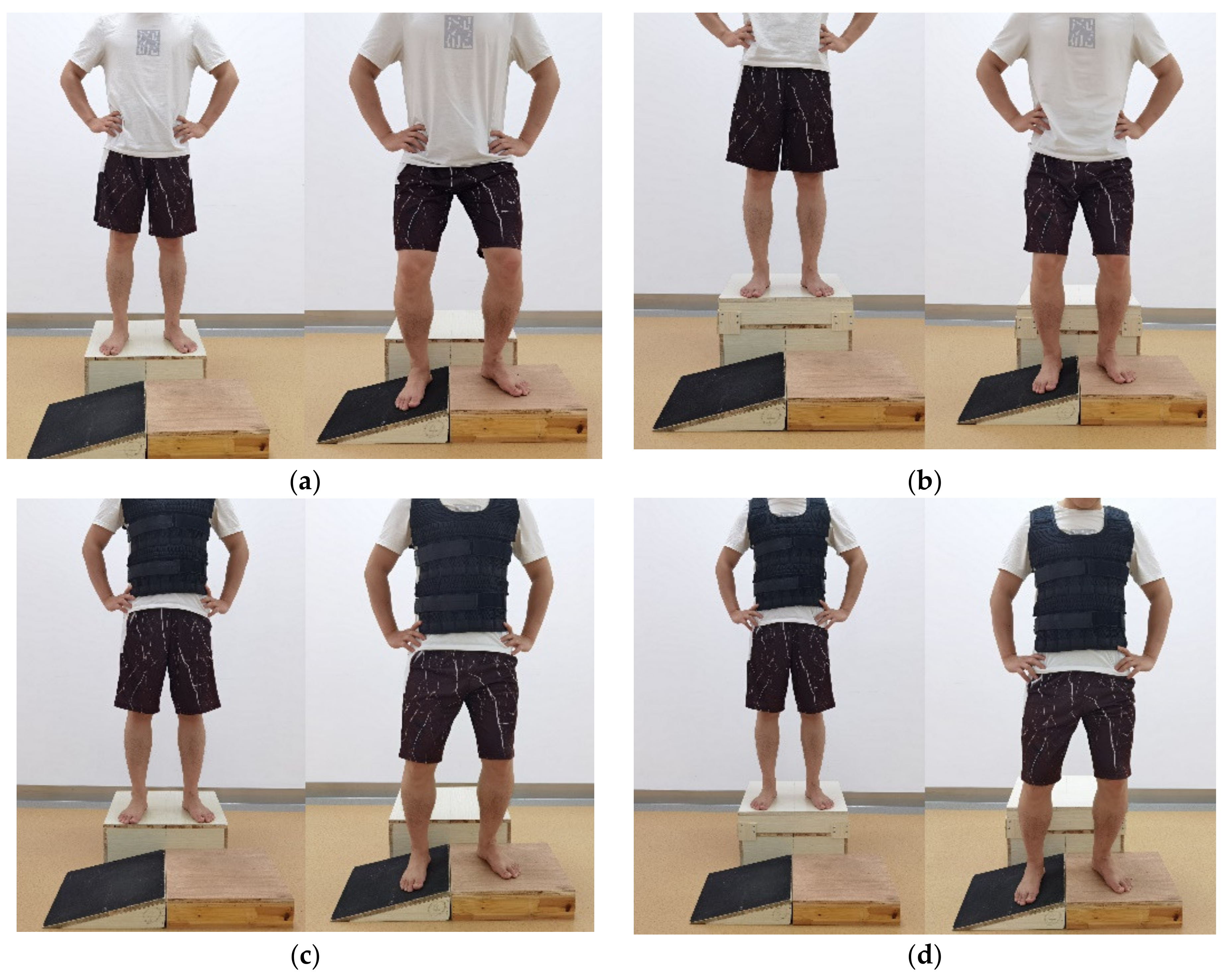 The concurrent validity and reliability of the Leg Motion system for  measuring ankle dorsiflexion range of motion in older adults [PeerJ]