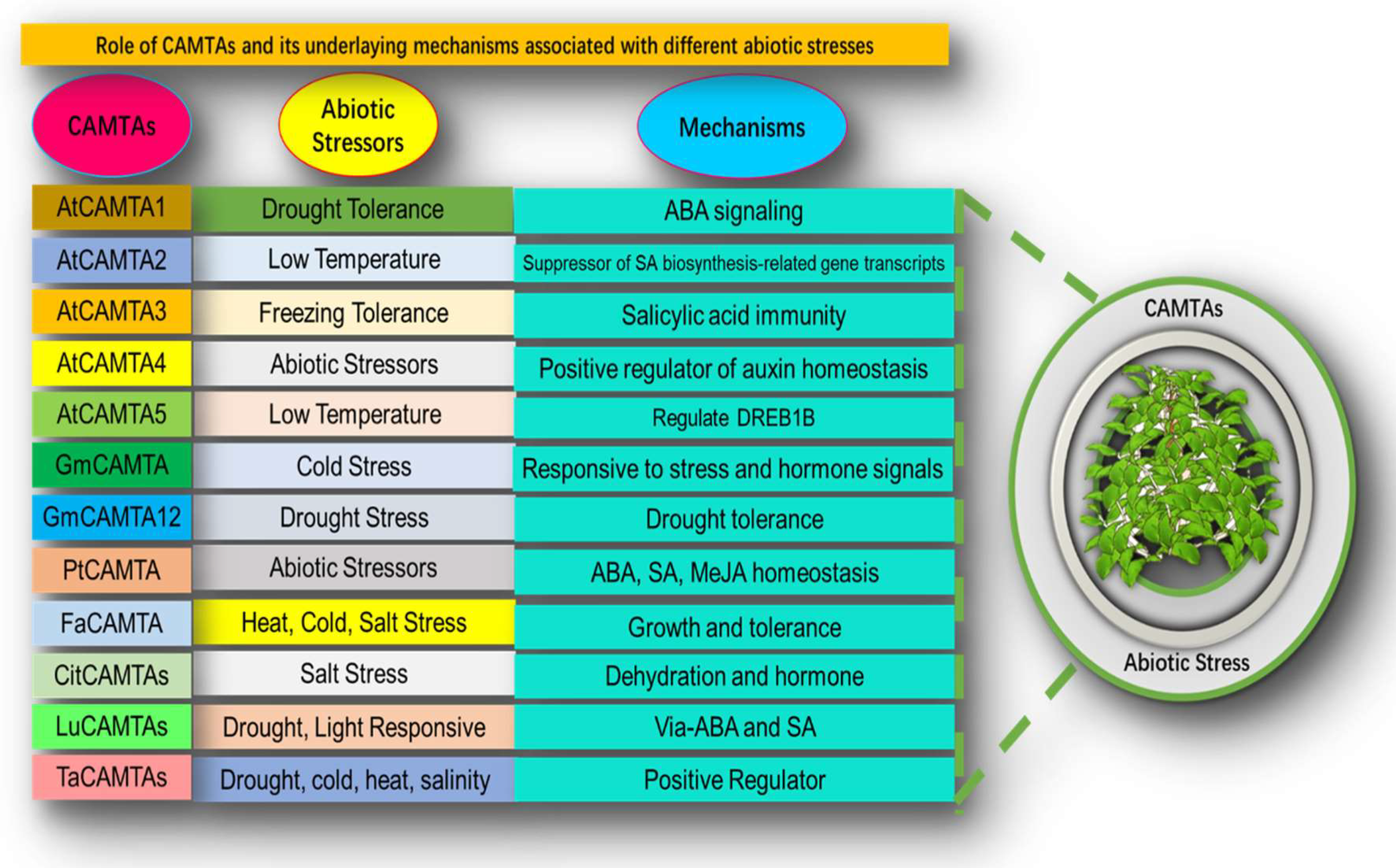Bioengineering 09 00759 g001 Bioengineering 09 00759 g001