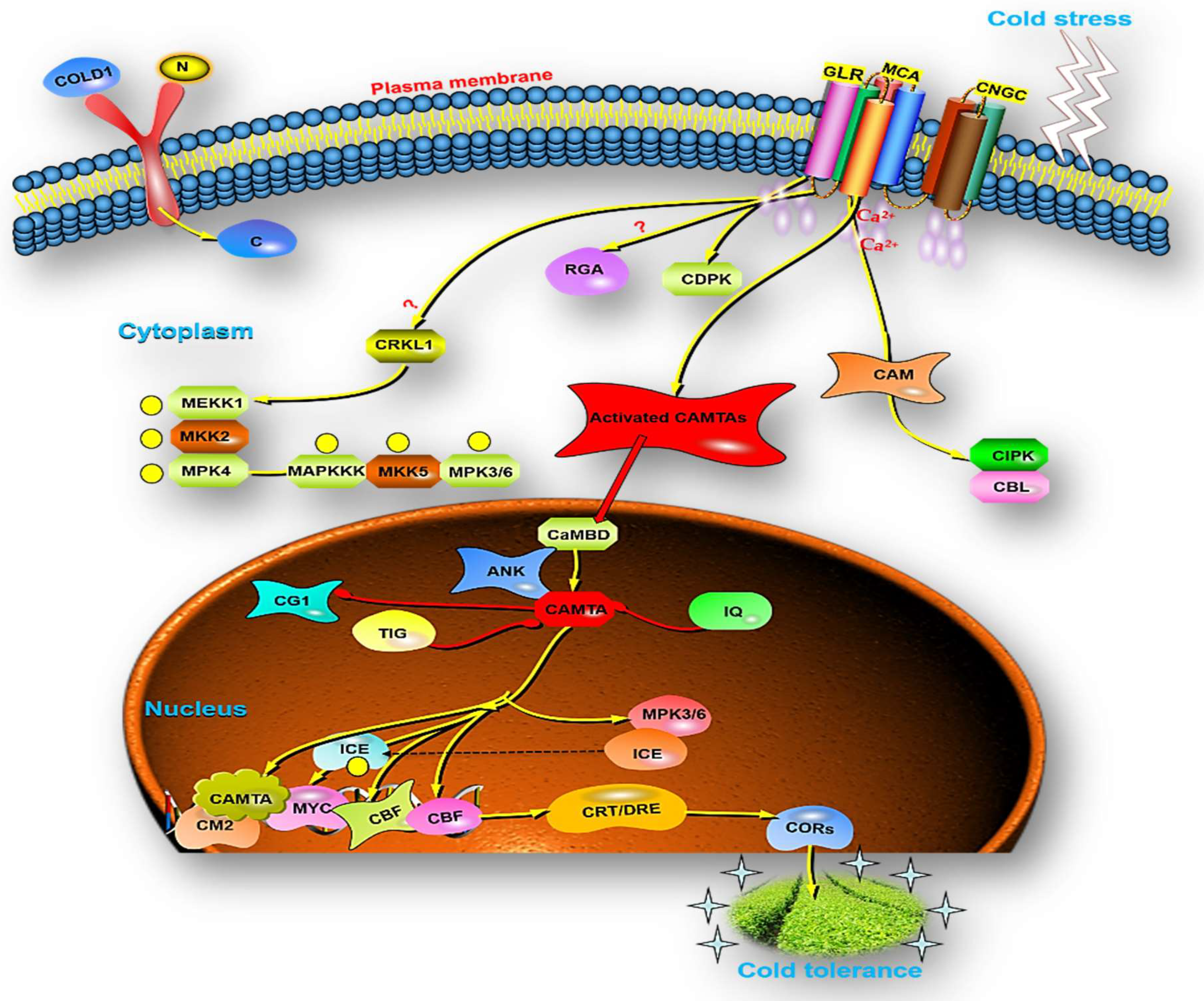 Bioengineering 09 00759 g004 Bioengineering 09 00759 g004