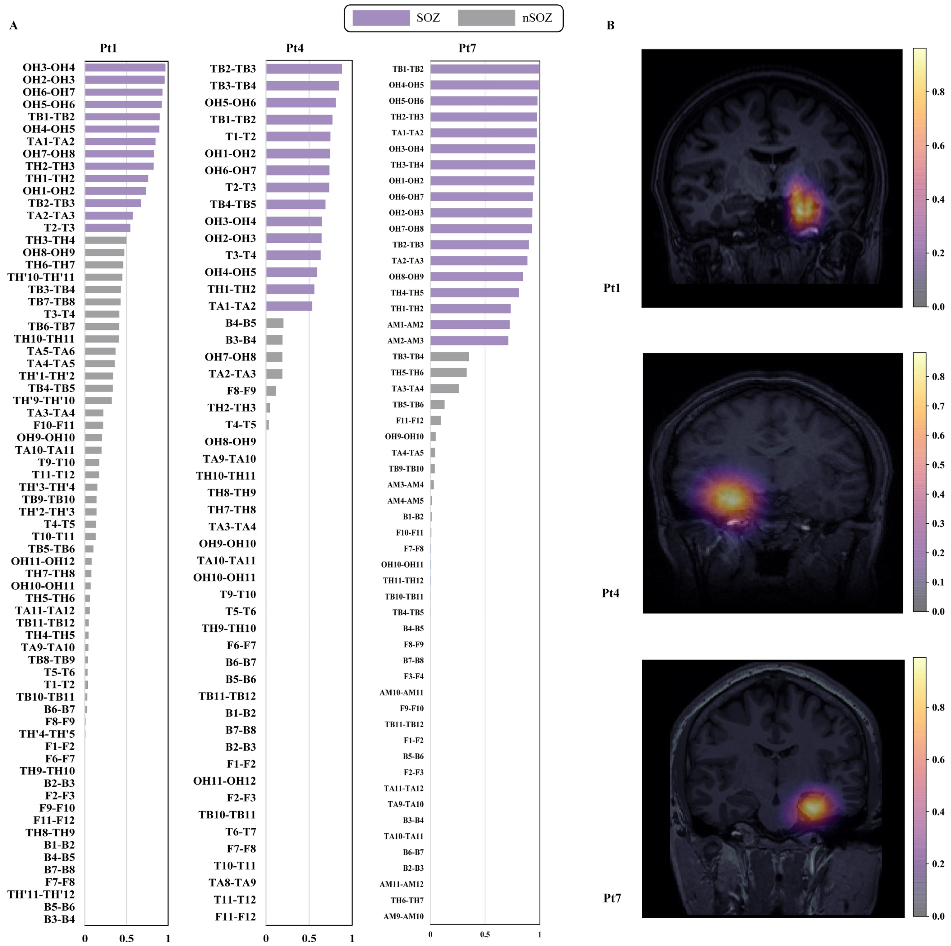 Bioengineering 09 00769 g005 Bioengineering 09 00769 g005