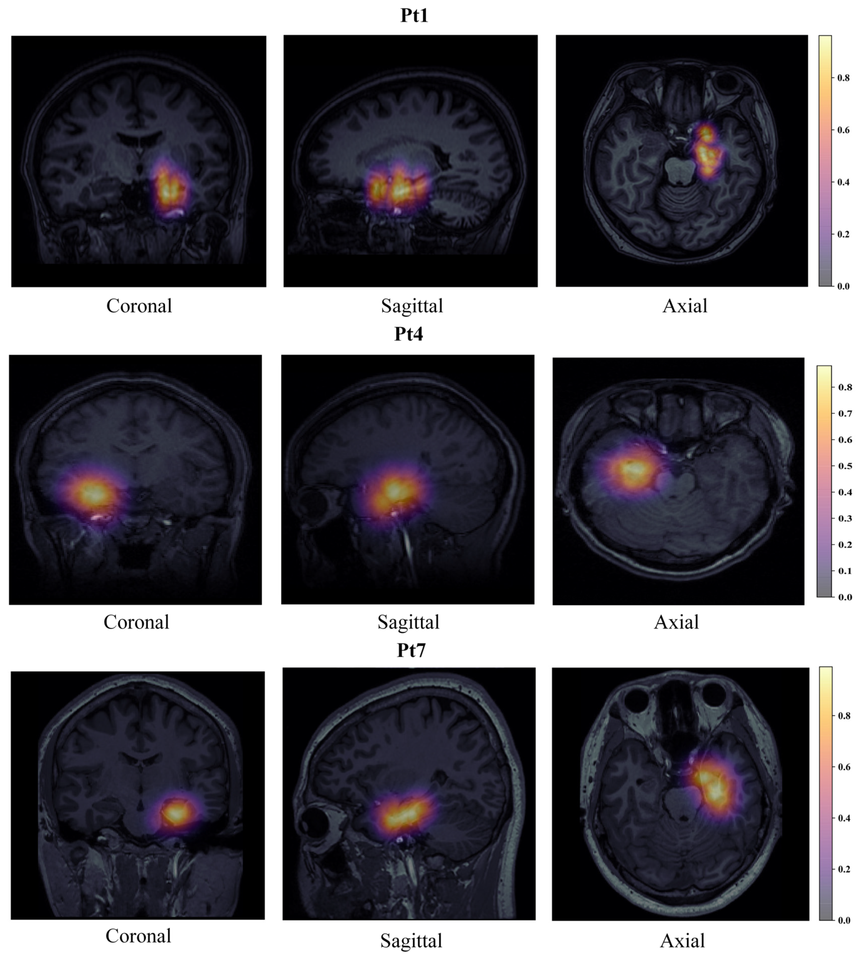 Bioengineering 09 00769 g007 Bioengineering 09 00769 g007