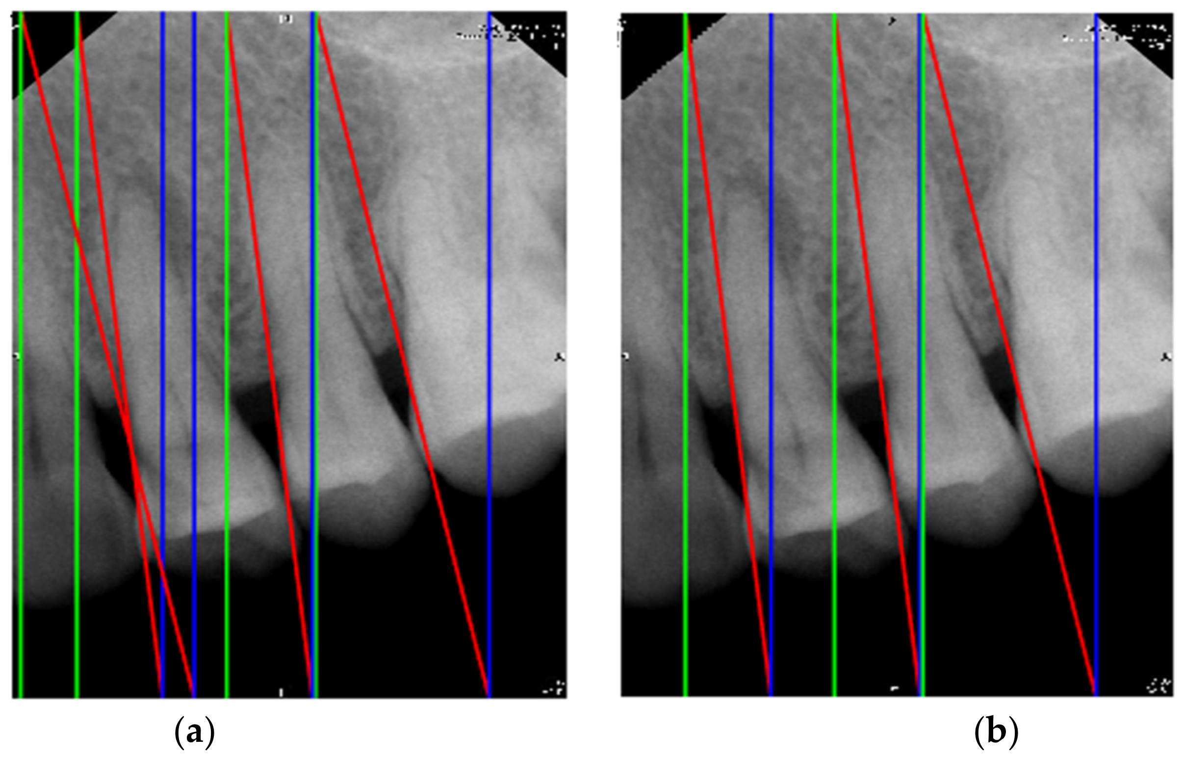 Bioengineering 09 00777 g003
