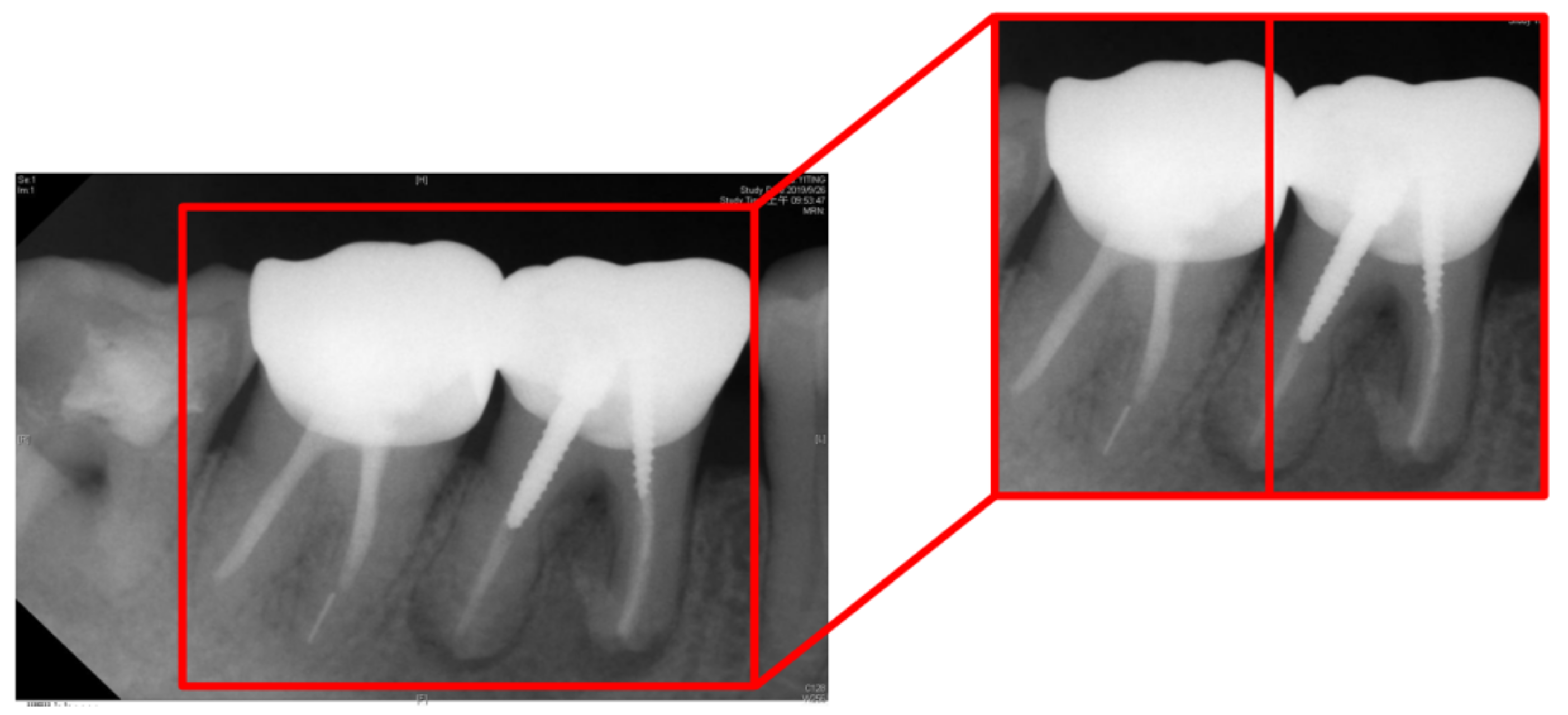 Bioengineering 09 00777 g013