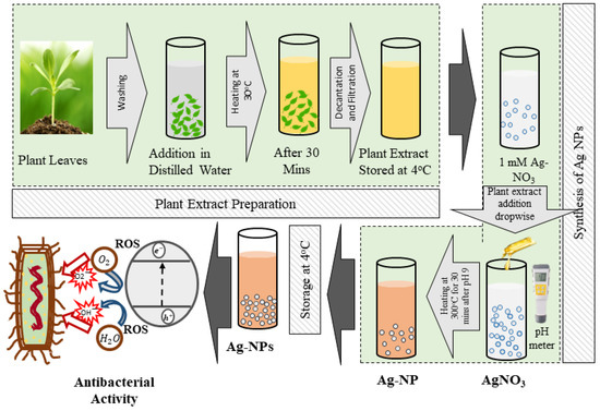 Development of antibacterial and UV protective cotton fabrics using plant  food waste and alien invasive plant extracts as reducing agents for the  in-situ synthesis of silver nanoparticles