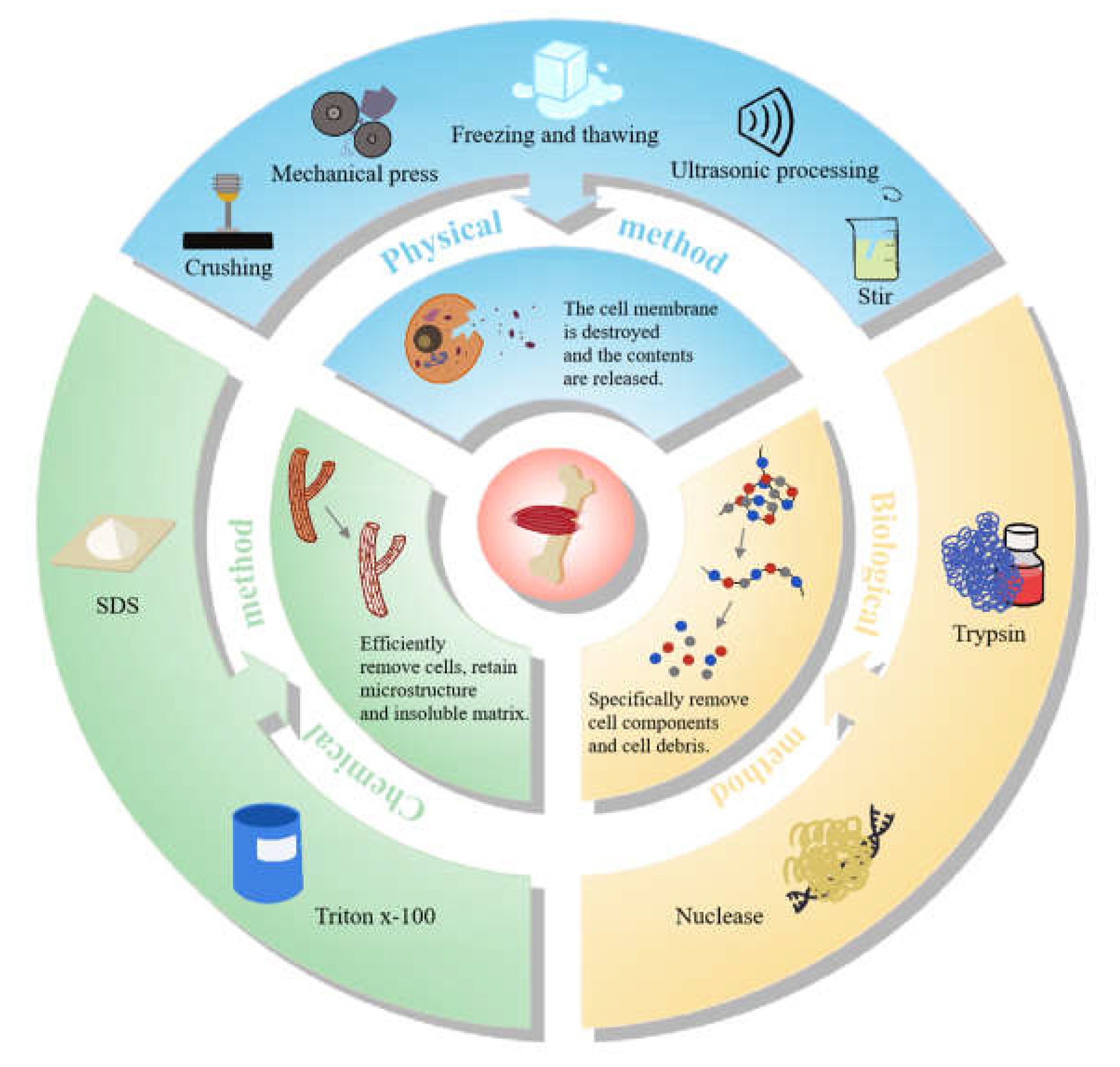 Bioengineering 09 00787 g002