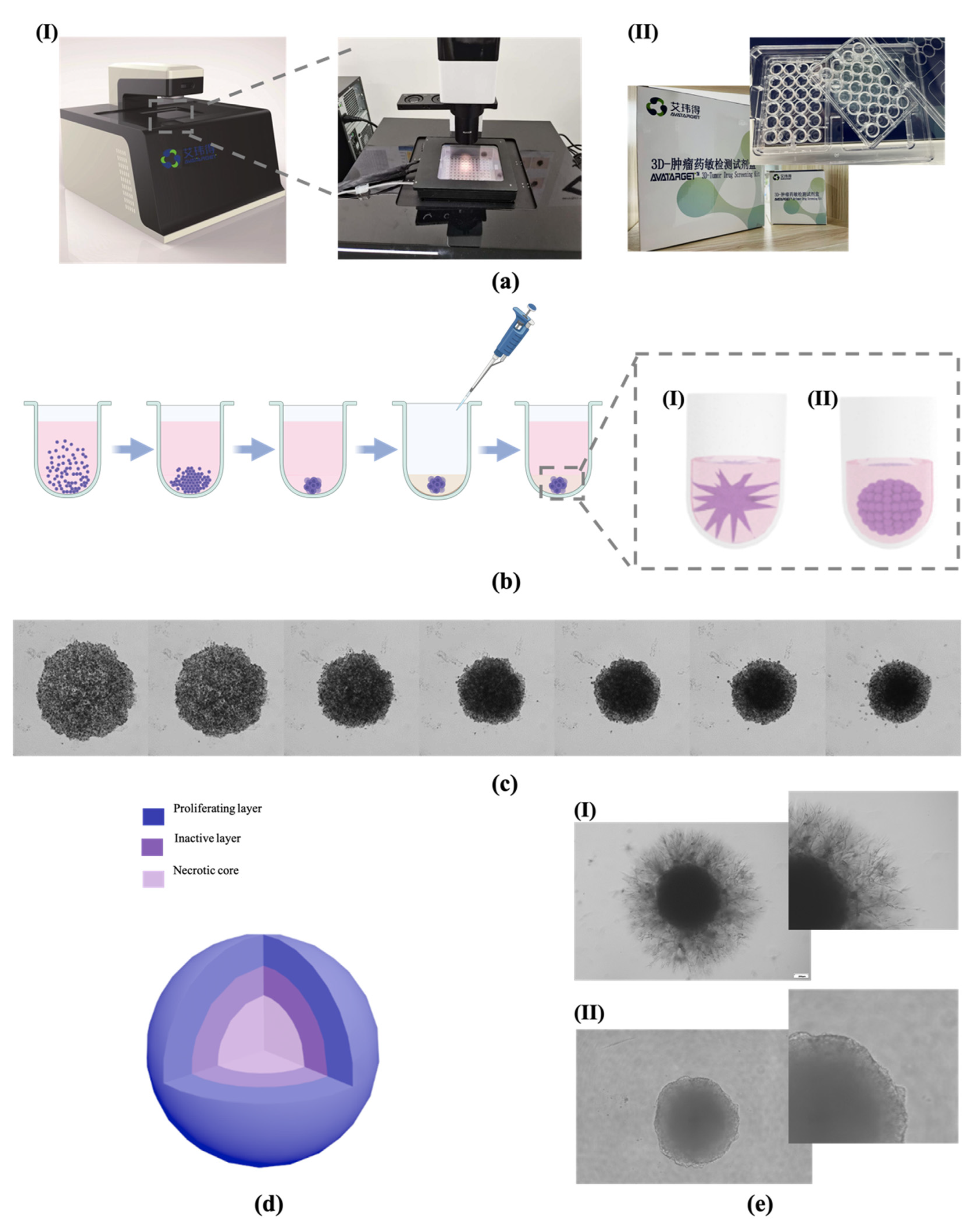 Bioengineering 09 00792 g001 Bioengineering 09 00792 g001