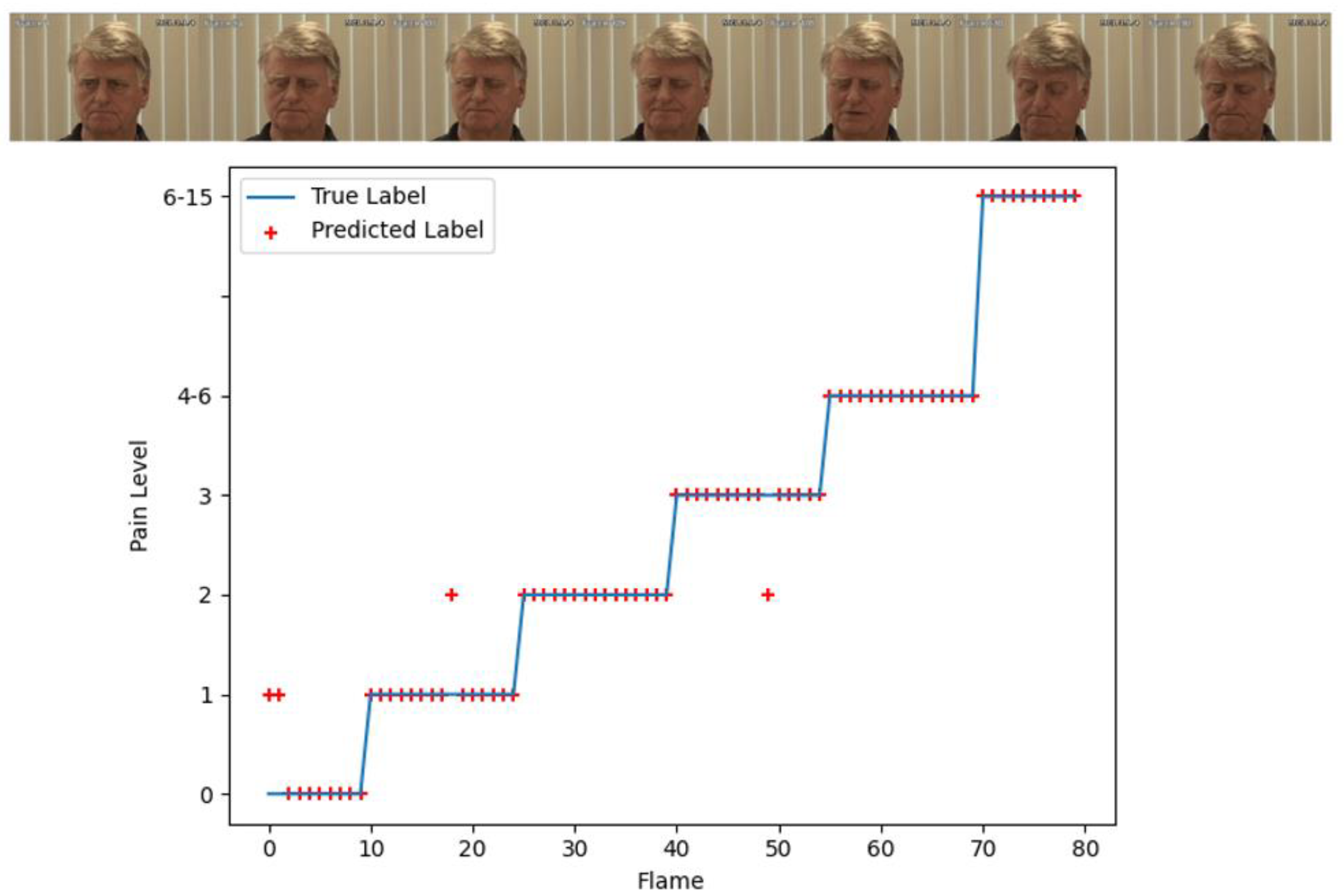 Bioengineering 09 00804 g010 Bioengineering 09 00804 g010
