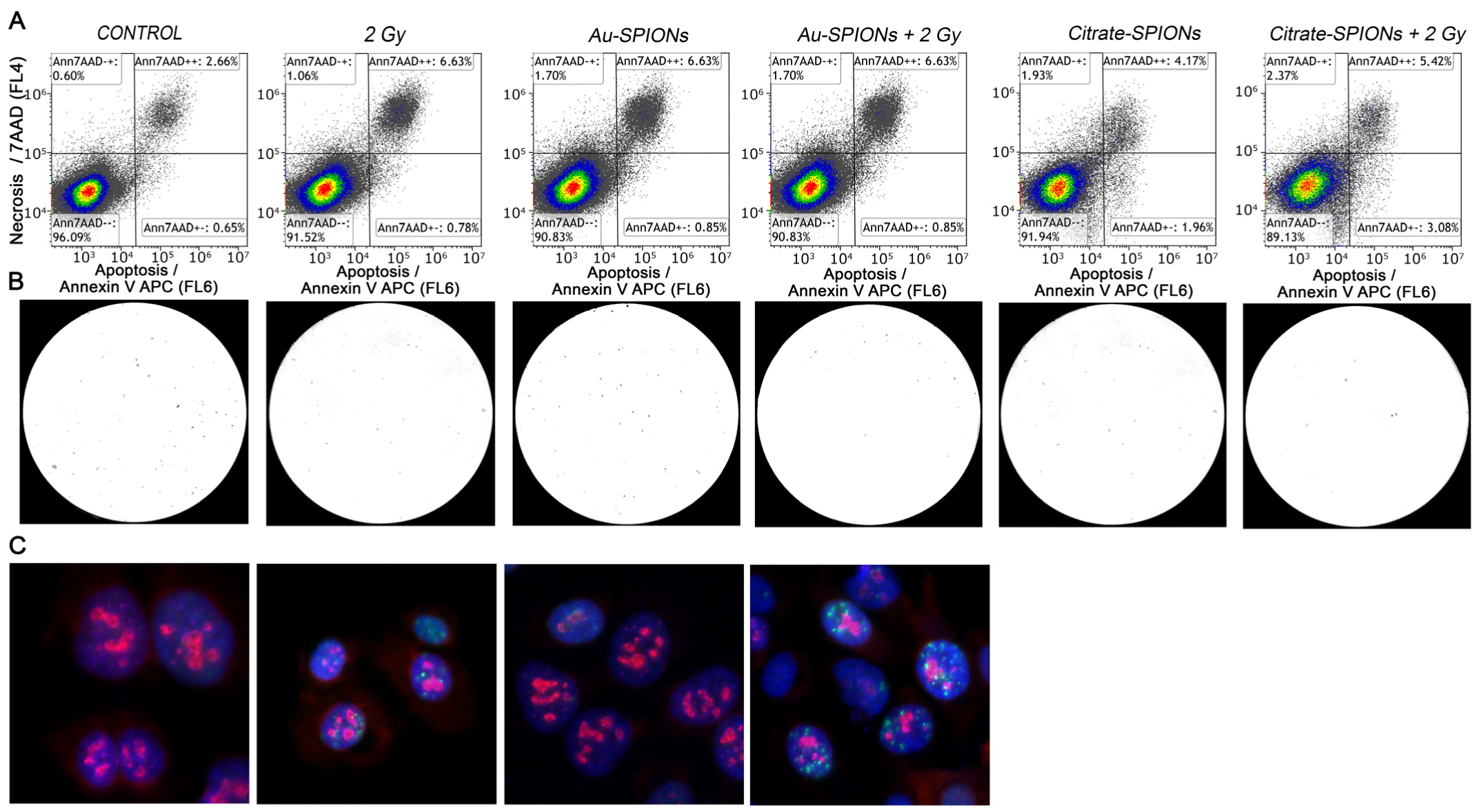 Bioengineering 09 00806 g005 Bioengineering 09 00806 g005