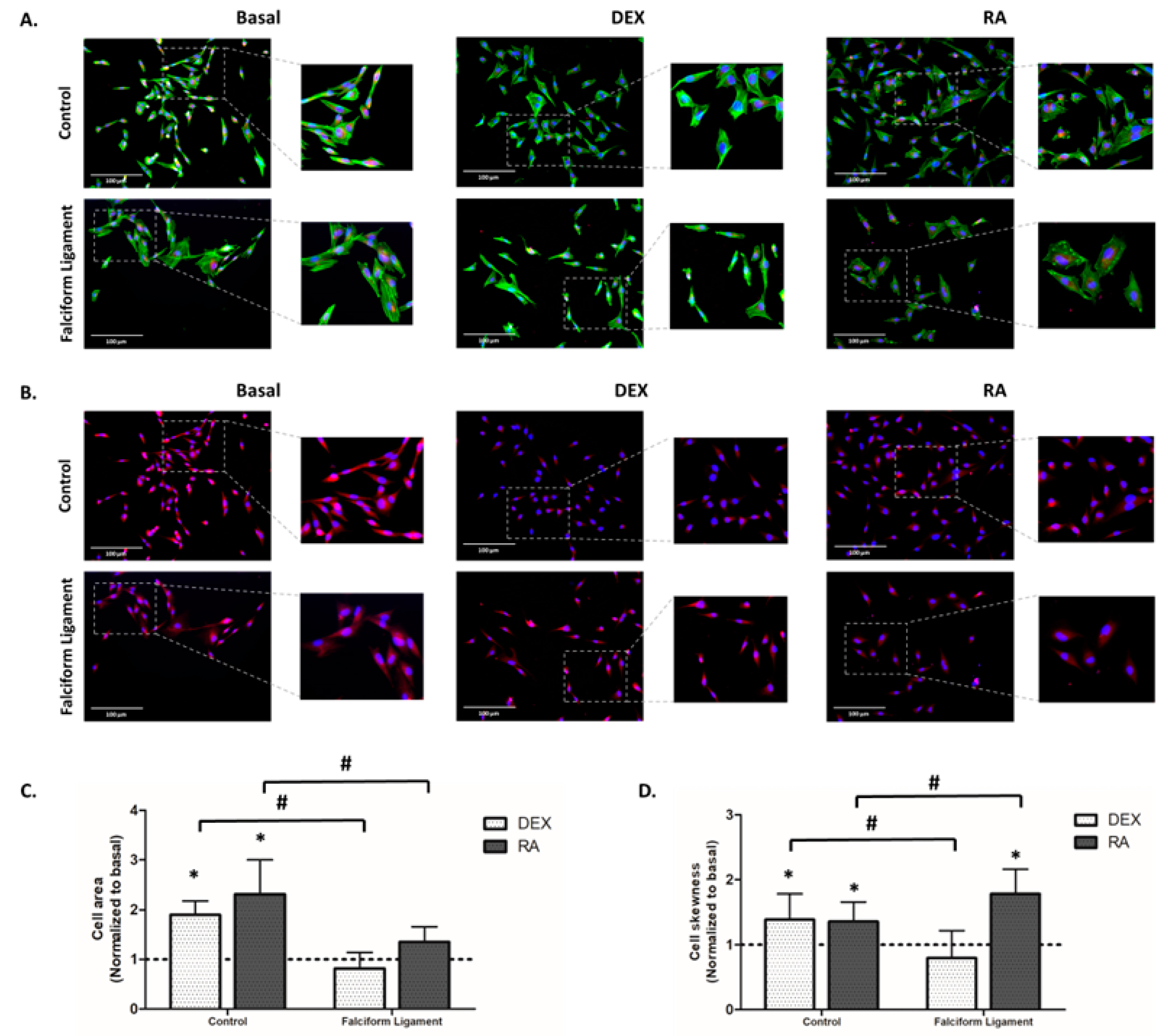 Bioengineering 09 00810 g003 Bioengineering 09 00810 g003