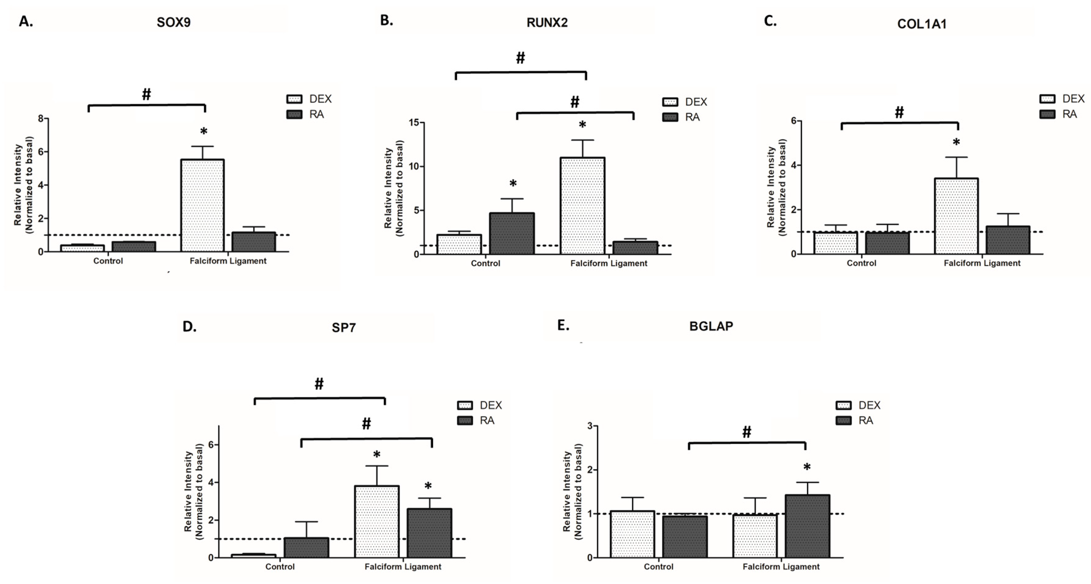 Bioengineering 09 00810 g004 Bioengineering 09 00810 g004