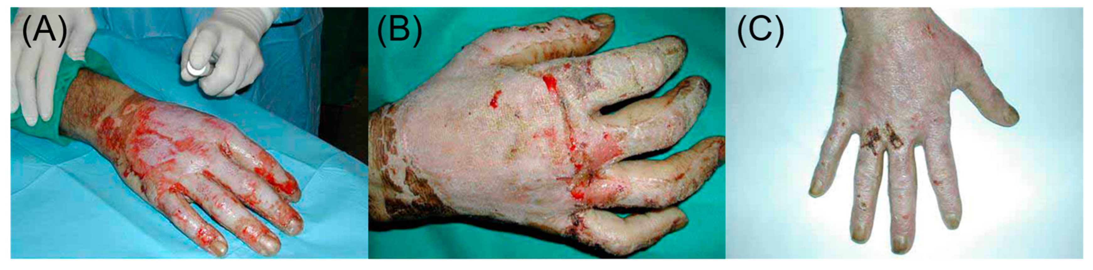 Bioengineering 10 00003 g001