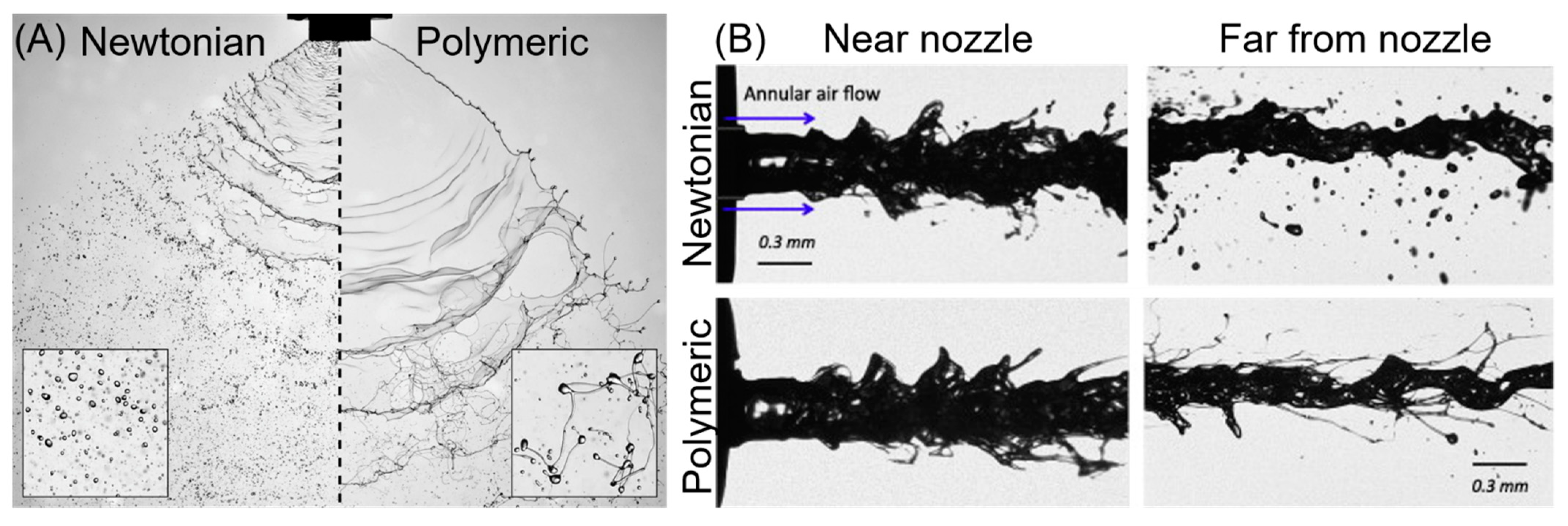 Bioengineering 10 00003 g004 550