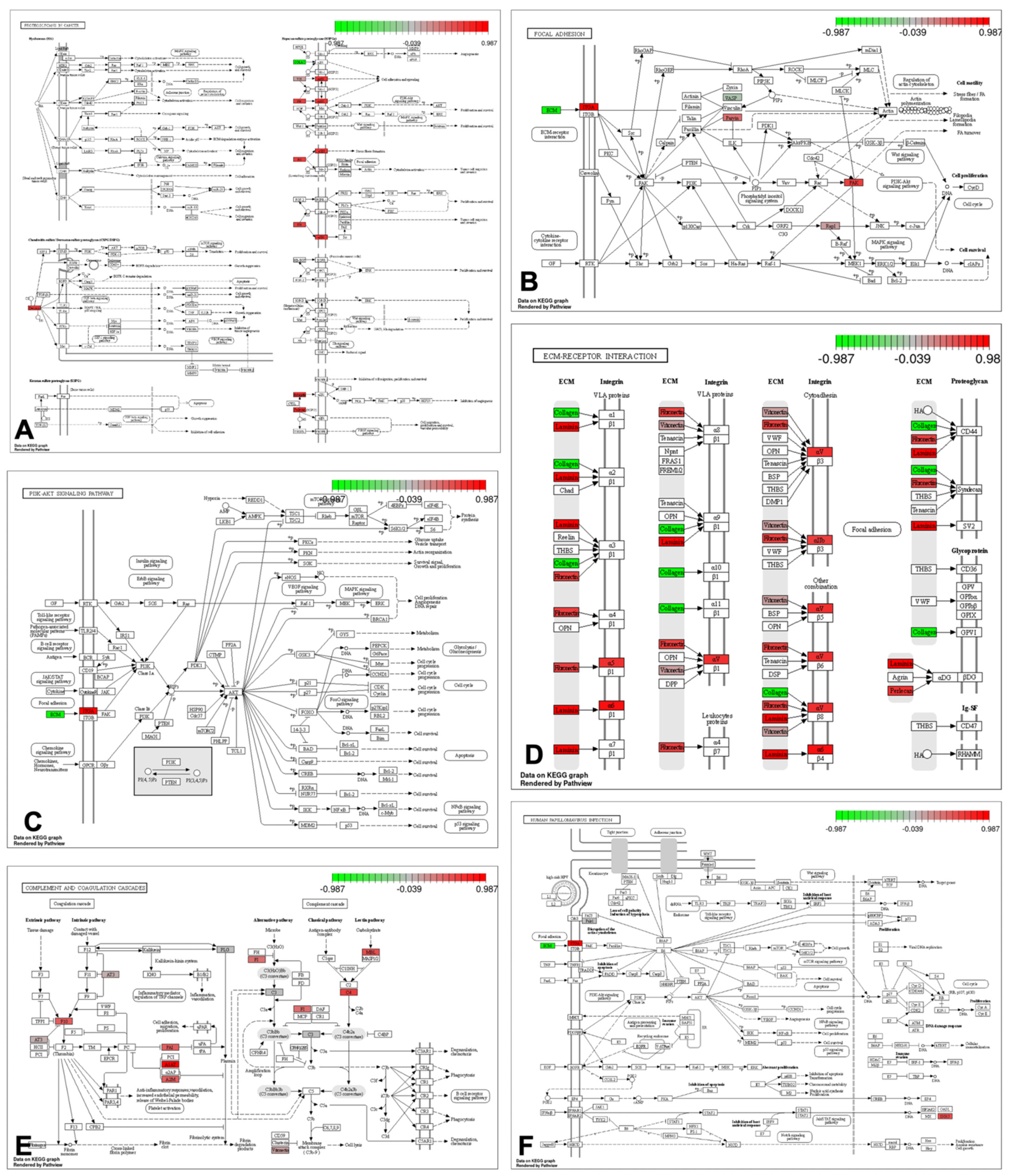 Bioengineering 10 00016 g002