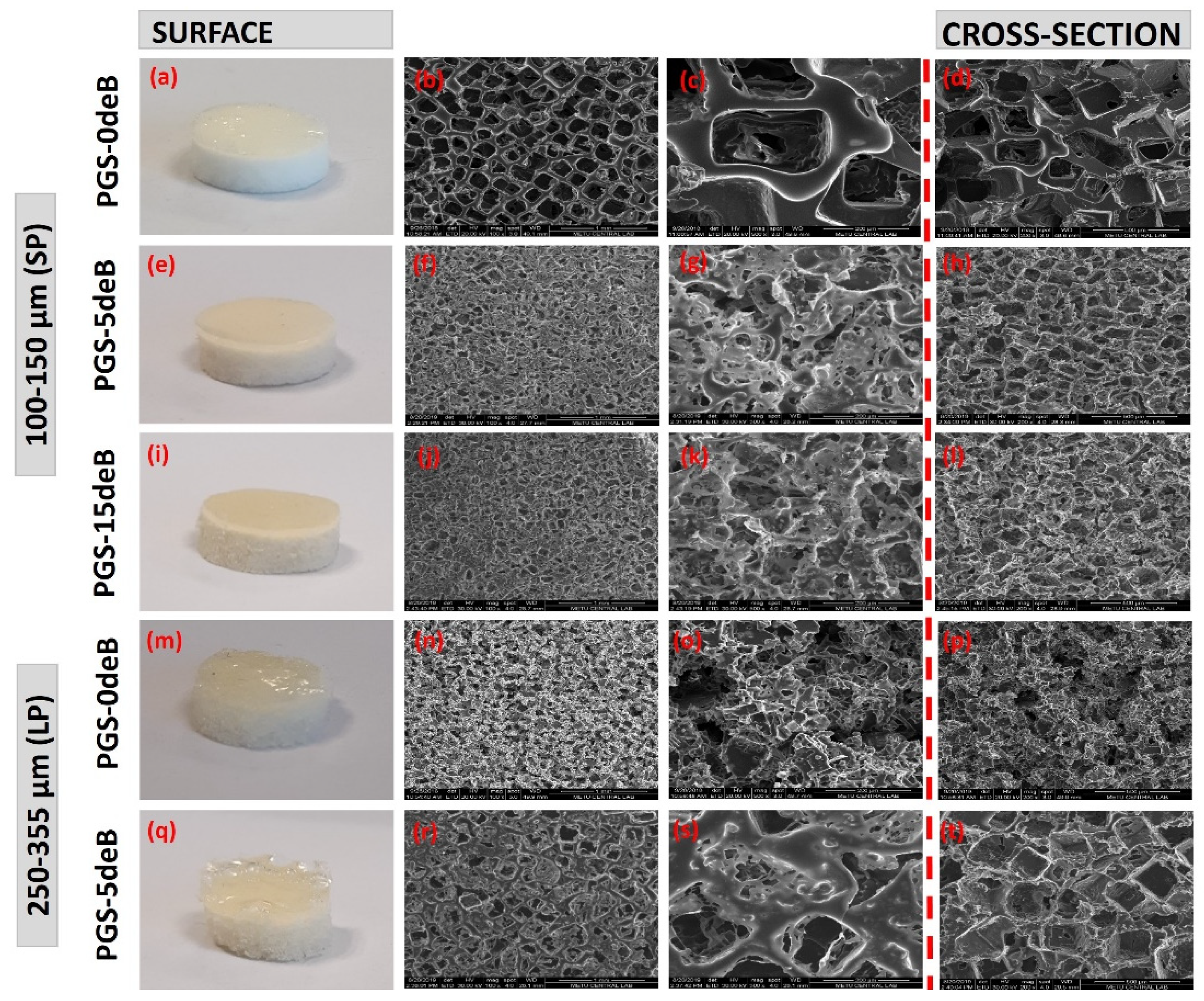 Bioengineering 10 00030 g003 Bioengineering 10 00030 g003