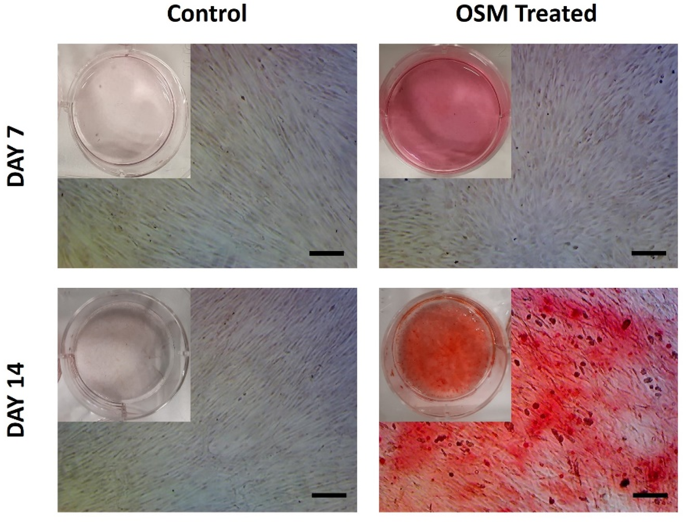 Bioengineering 10 00030 g009 Bioengineering 10 00030 g009