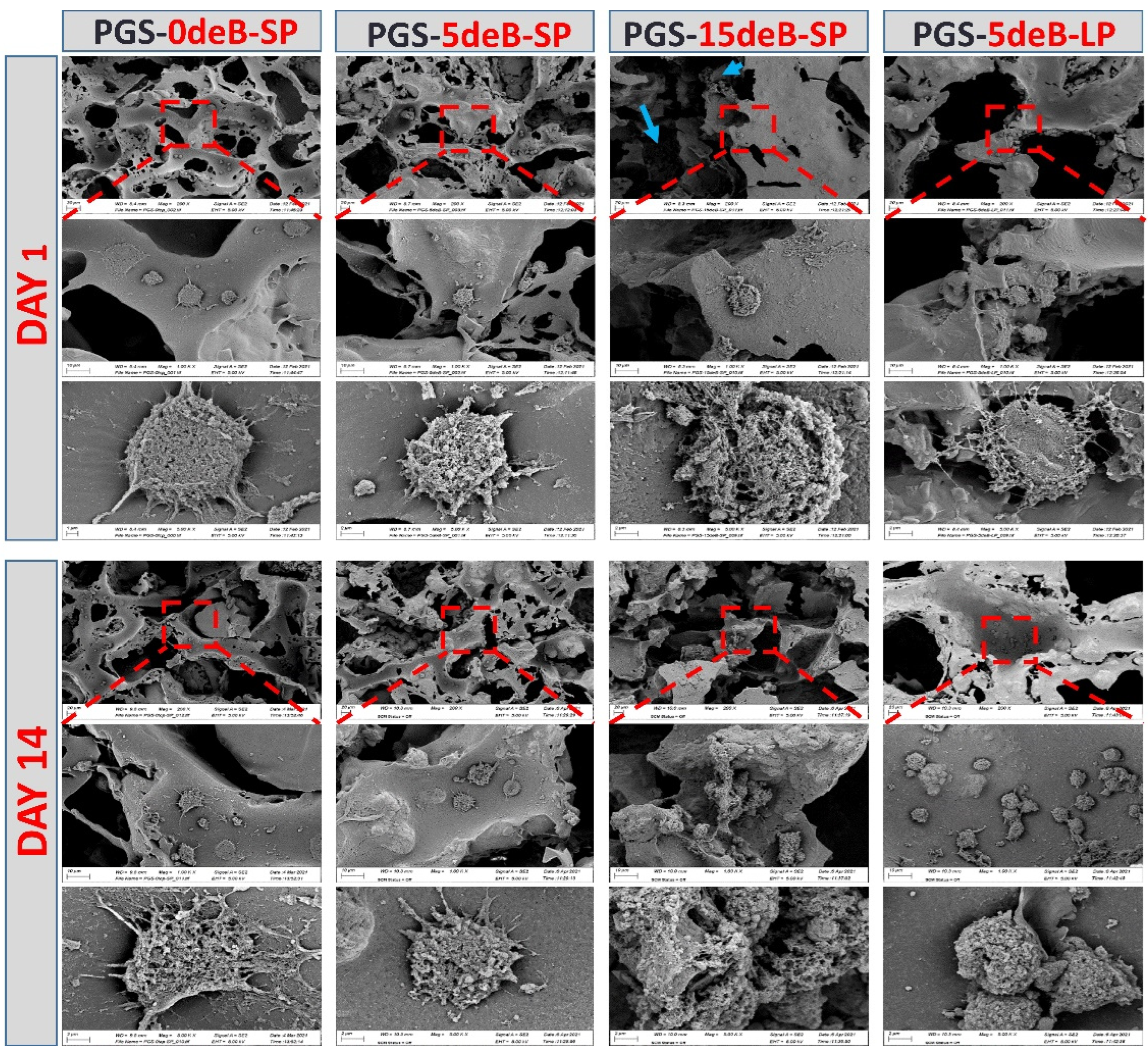 Bioengineering 10 00030 g011 Bioengineering 10 00030 g011