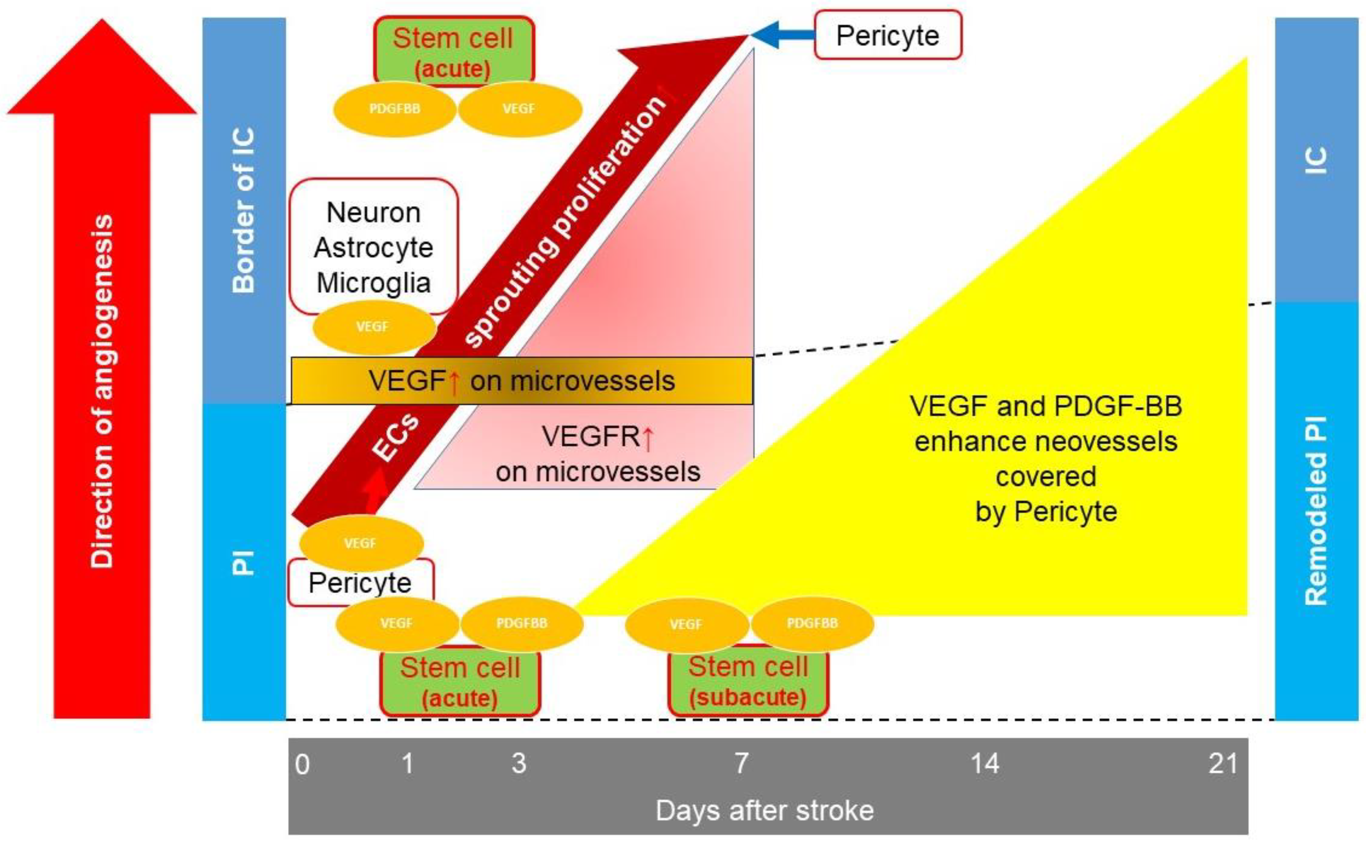 Bioengineering 10 00033 g001