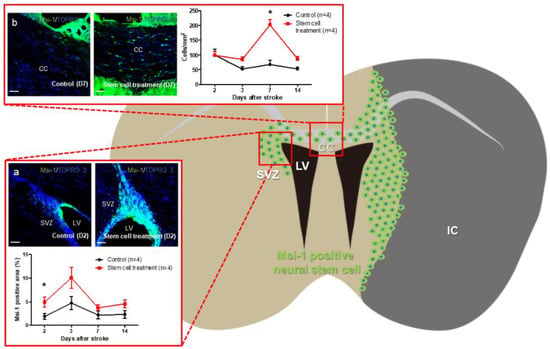 https://www.mdpi.com/bioengineering/bioengineering-10-00033/article_deploy/html/images/bioengineering-10-00033-g002-550.jpg