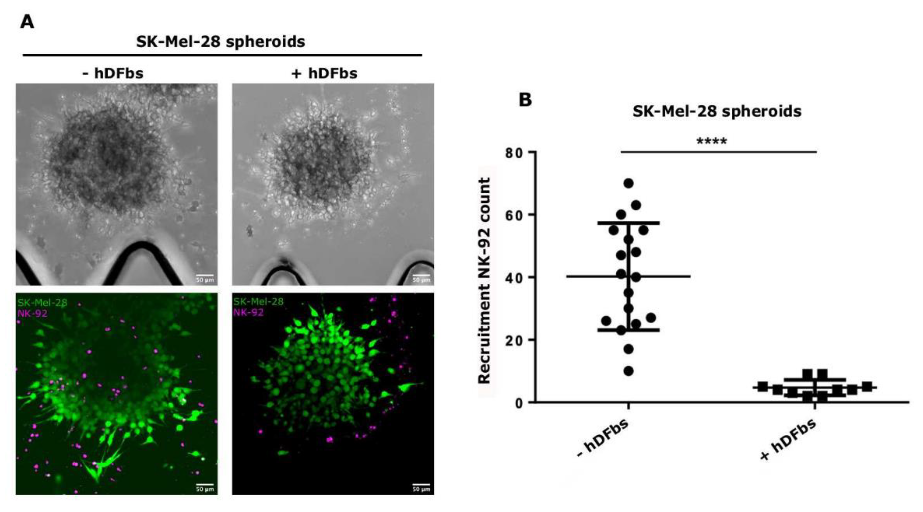 Bioengineering 10 00052 g002 Bioengineering 10 00052 g002