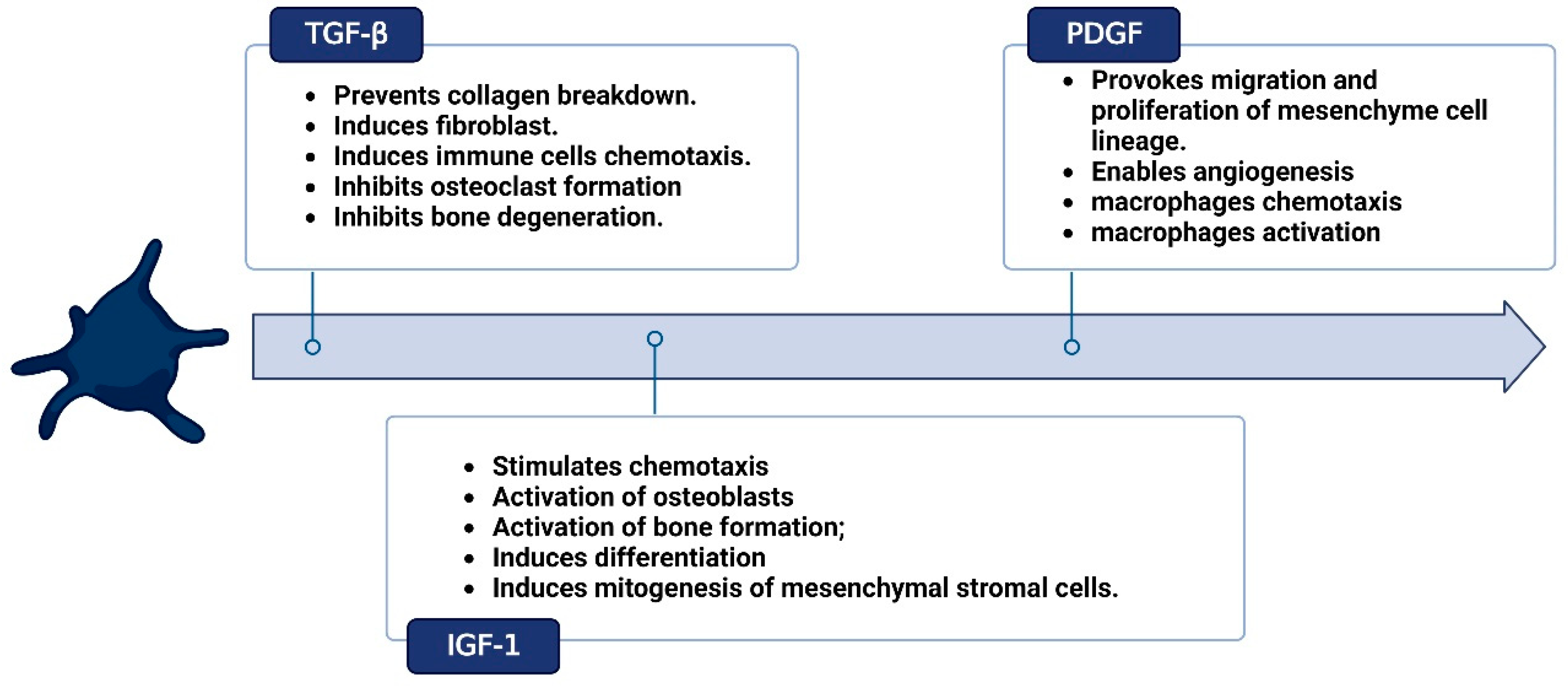 Bioengineering 10 00058 g002a Bioengineering 10 00058 g002a