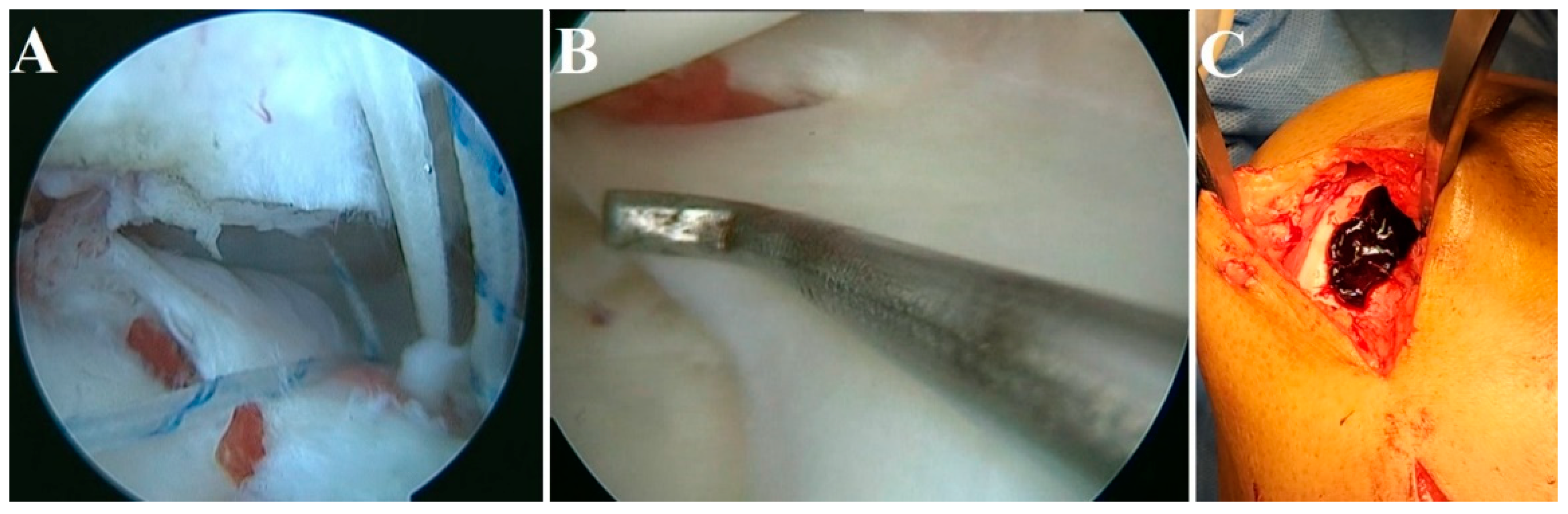 Bioengineering 10 00058 g005 Bioengineering 10 00058 g005