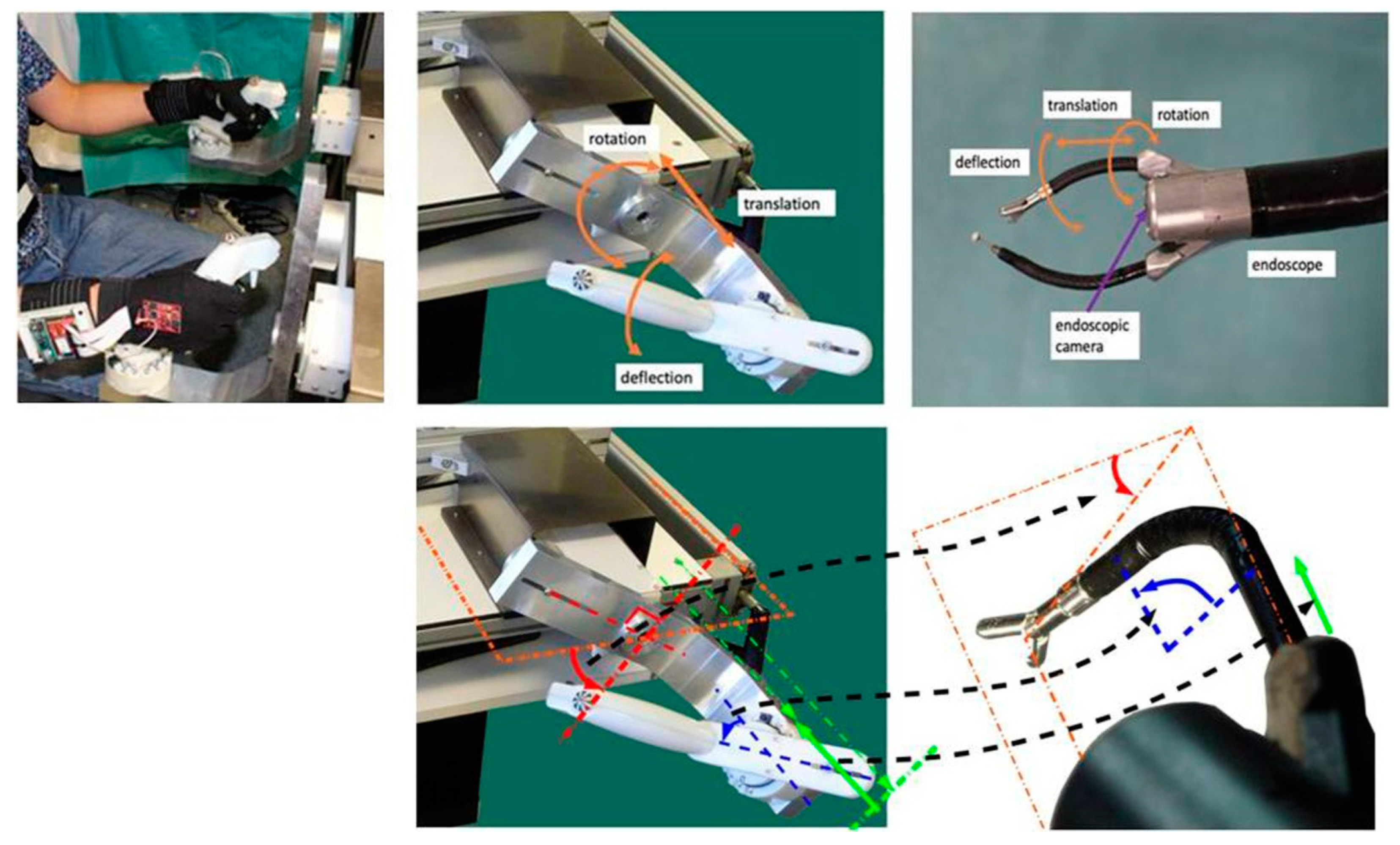 Bioengineering 10 00059 g002 Bioengineering 10 00059 g002