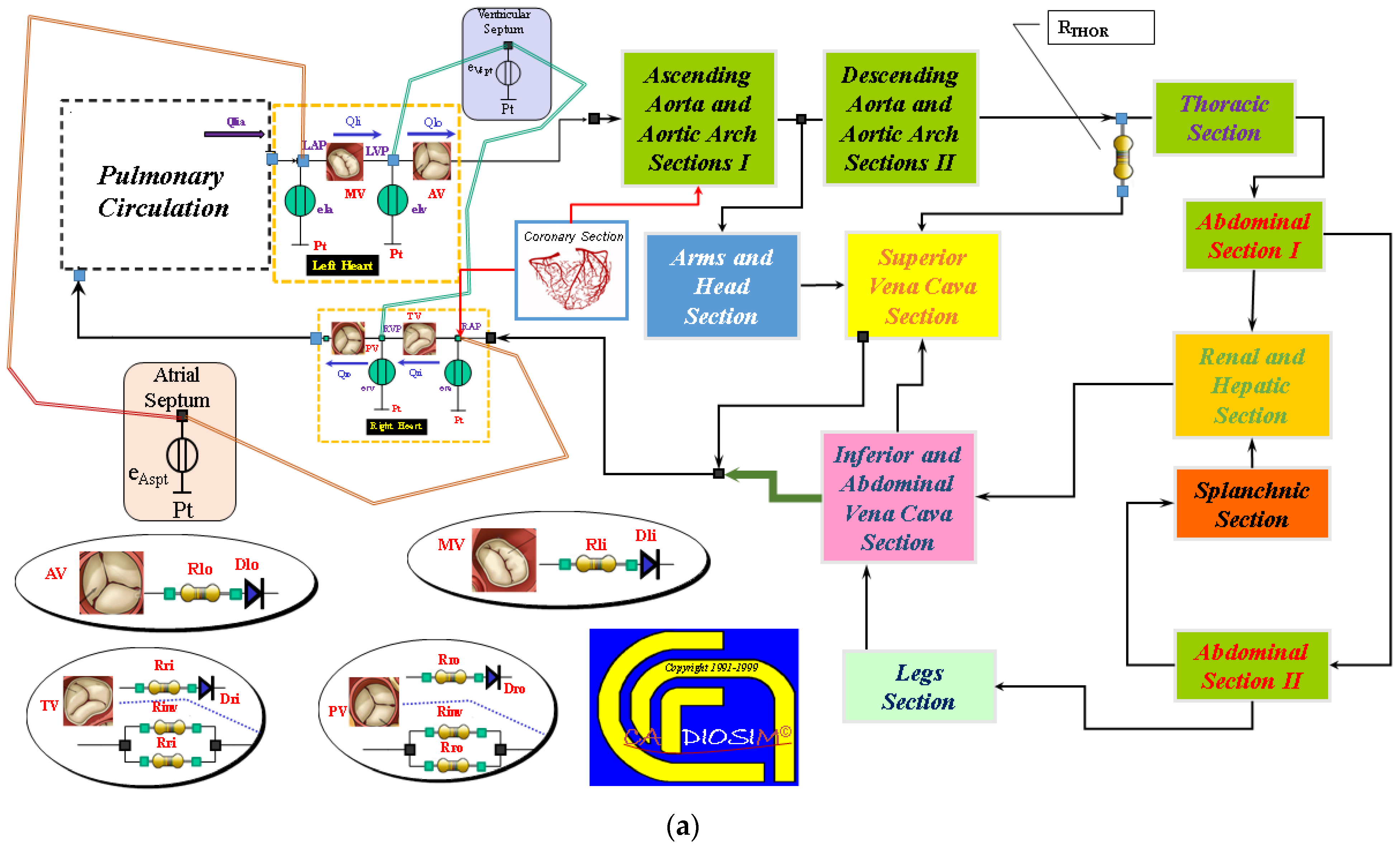 Bioengineering 10 00060 g002a Bioengineering 10 00060 g002a