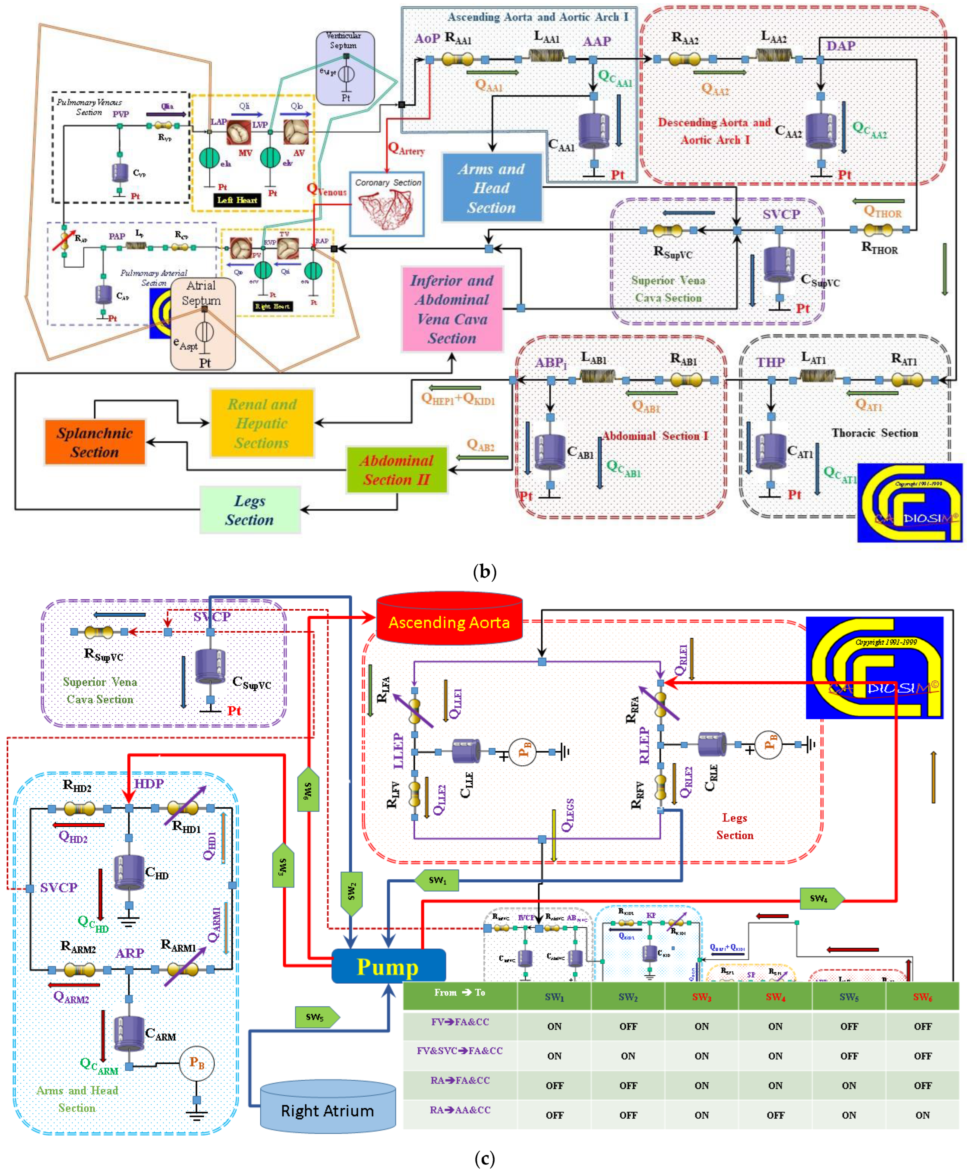 Bioengineering 10 00060 g002b Bioengineering 10 00060 g002b