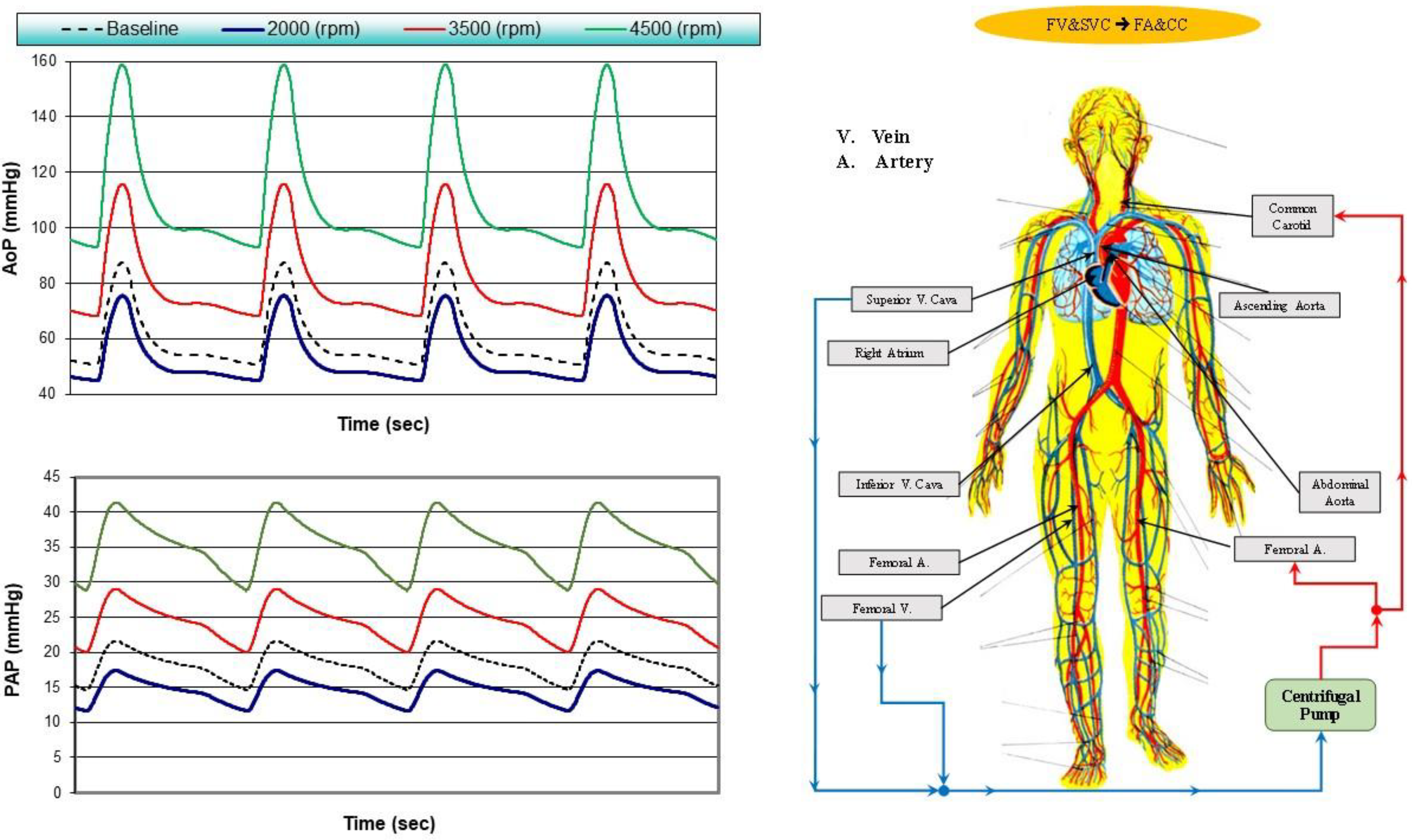 Bioengineering 10 00060 g005 Bioengineering 10 00060 g005