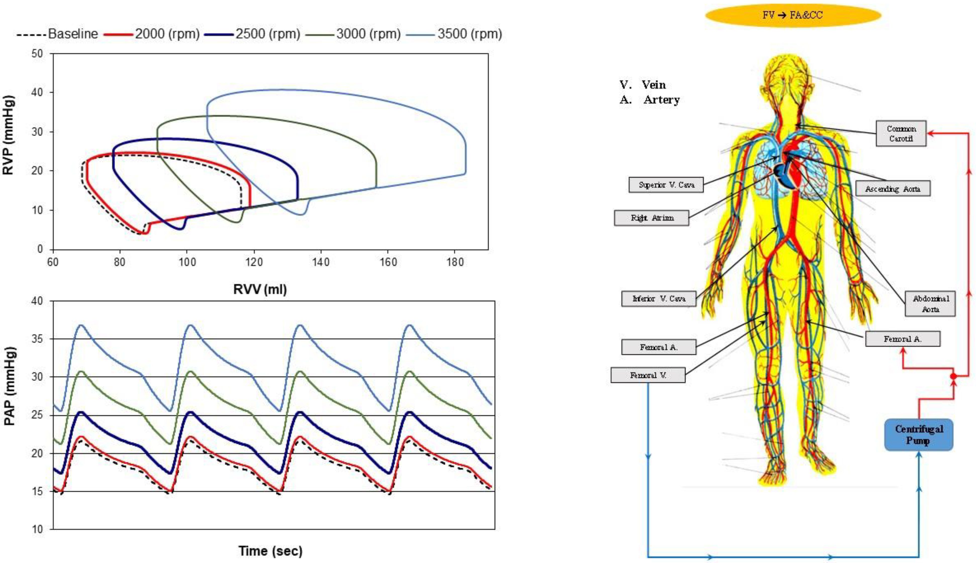 Bioengineering 10 00060 g006 Bioengineering 10 00060 g006
