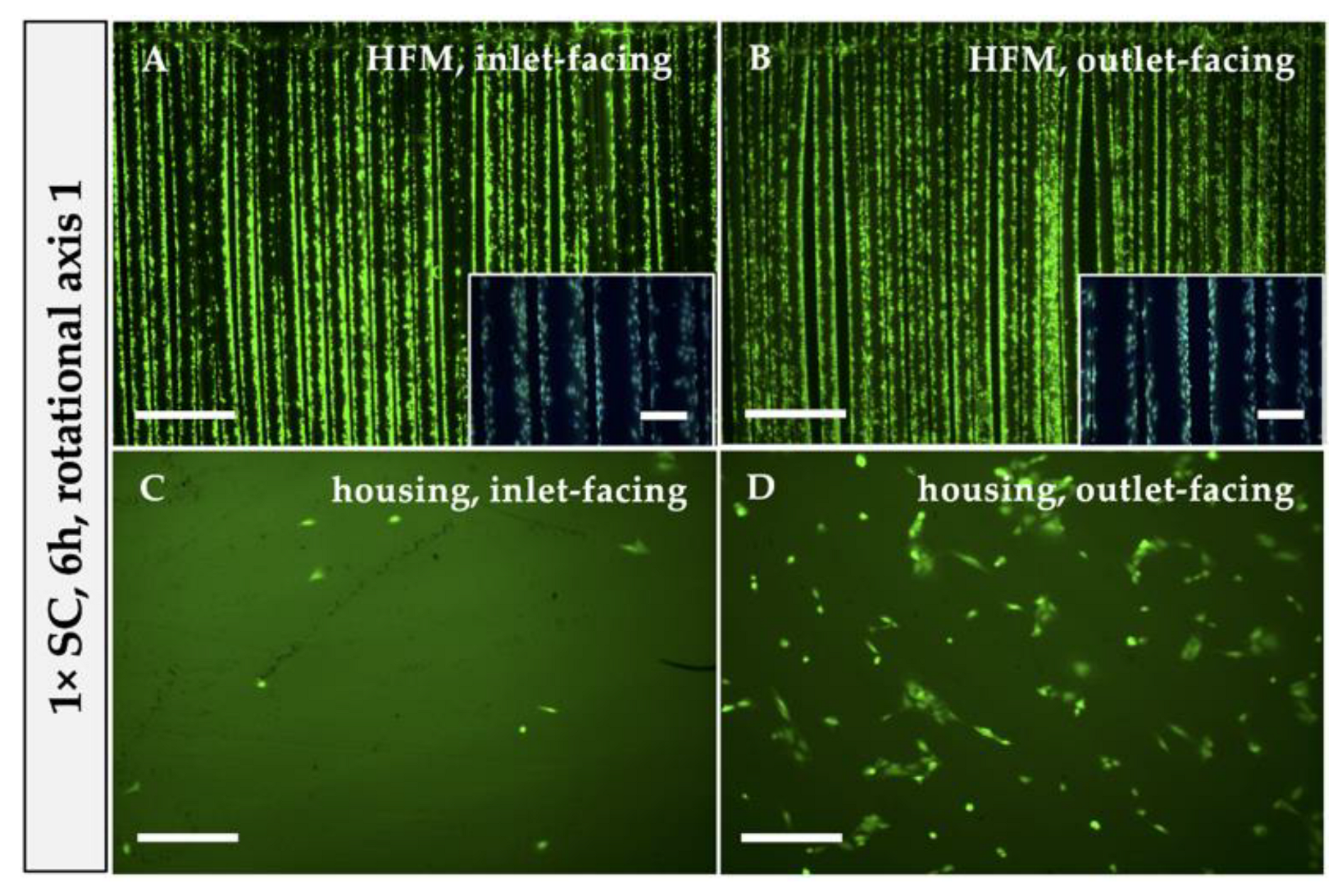 Bioengineering 10 00072 g002a Bioengineering 10 00072 g002a