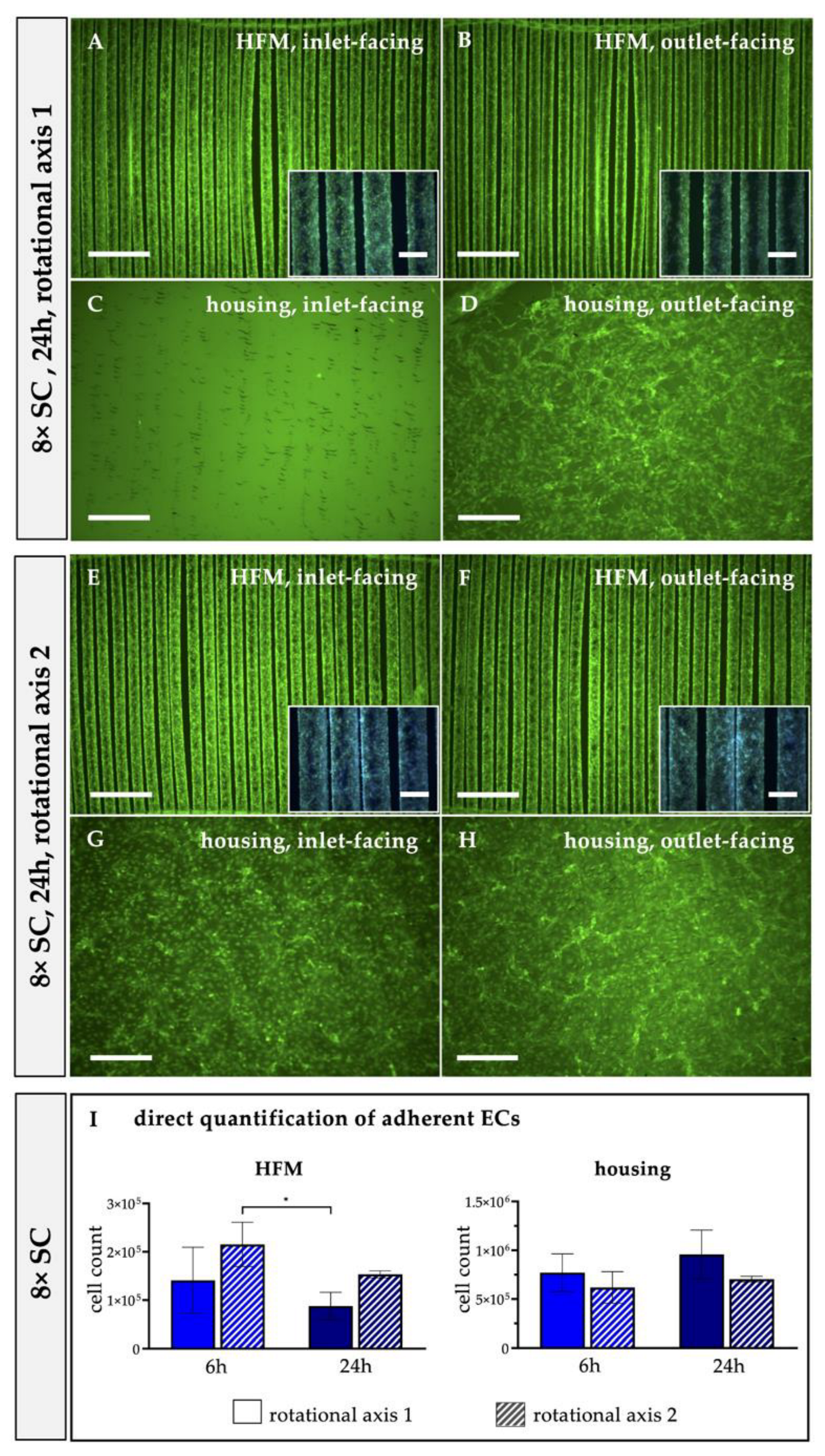 Bioengineering 10 00072 g004 Bioengineering 10 00072 g004