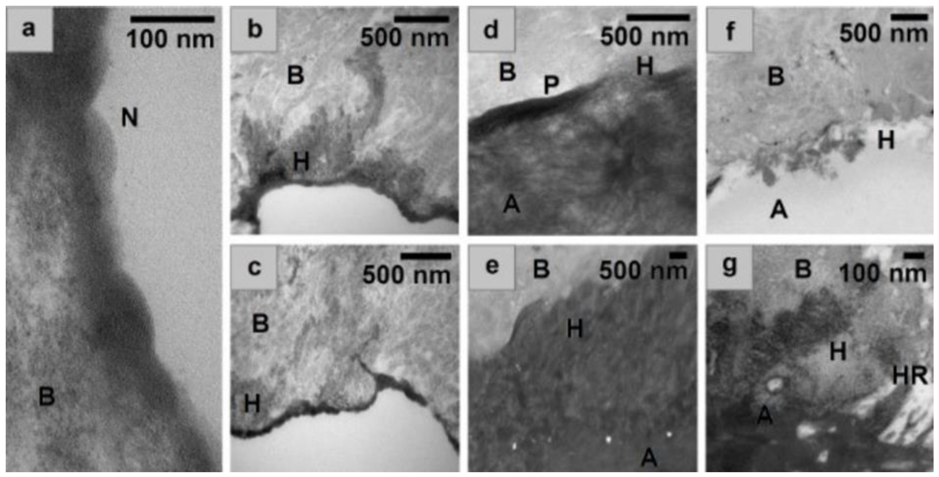 Bioengineering 10 00078 g003 Bioengineering 10 00078 g003