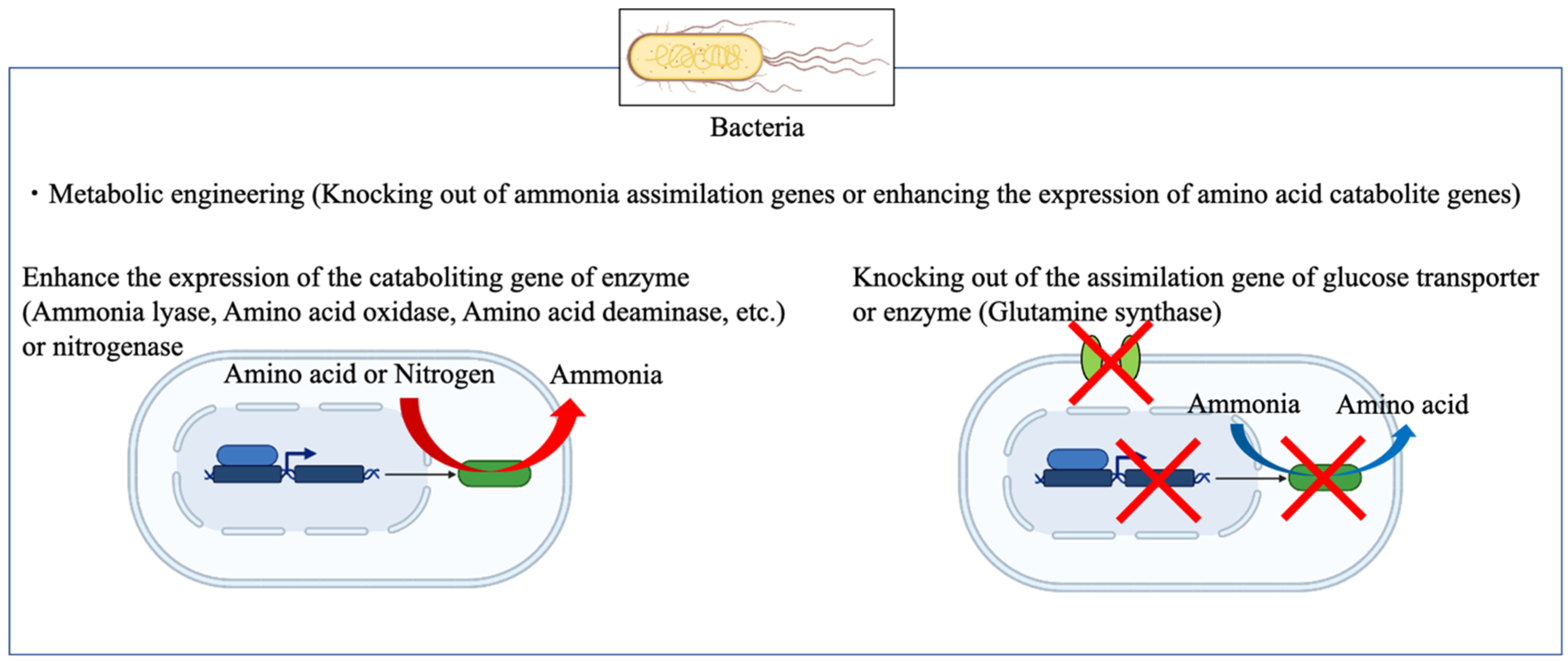 Bioengineering, Free Full-Text