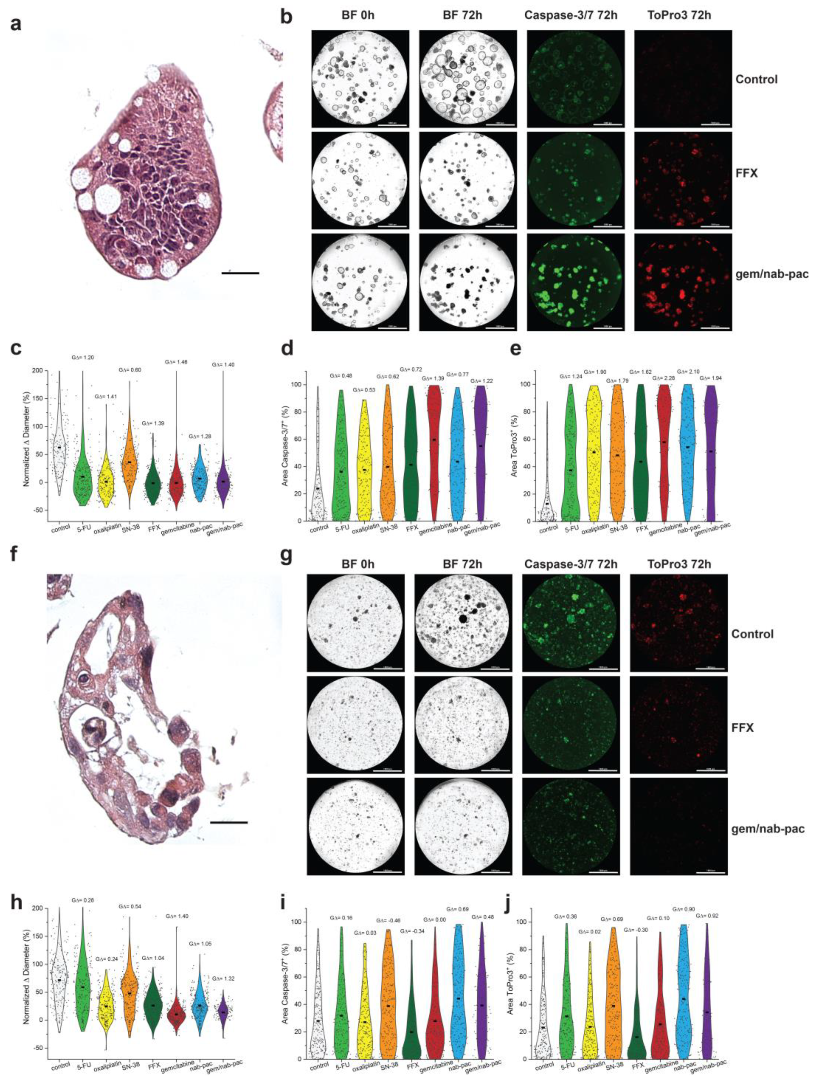 Bioengineering 10 00091 g003