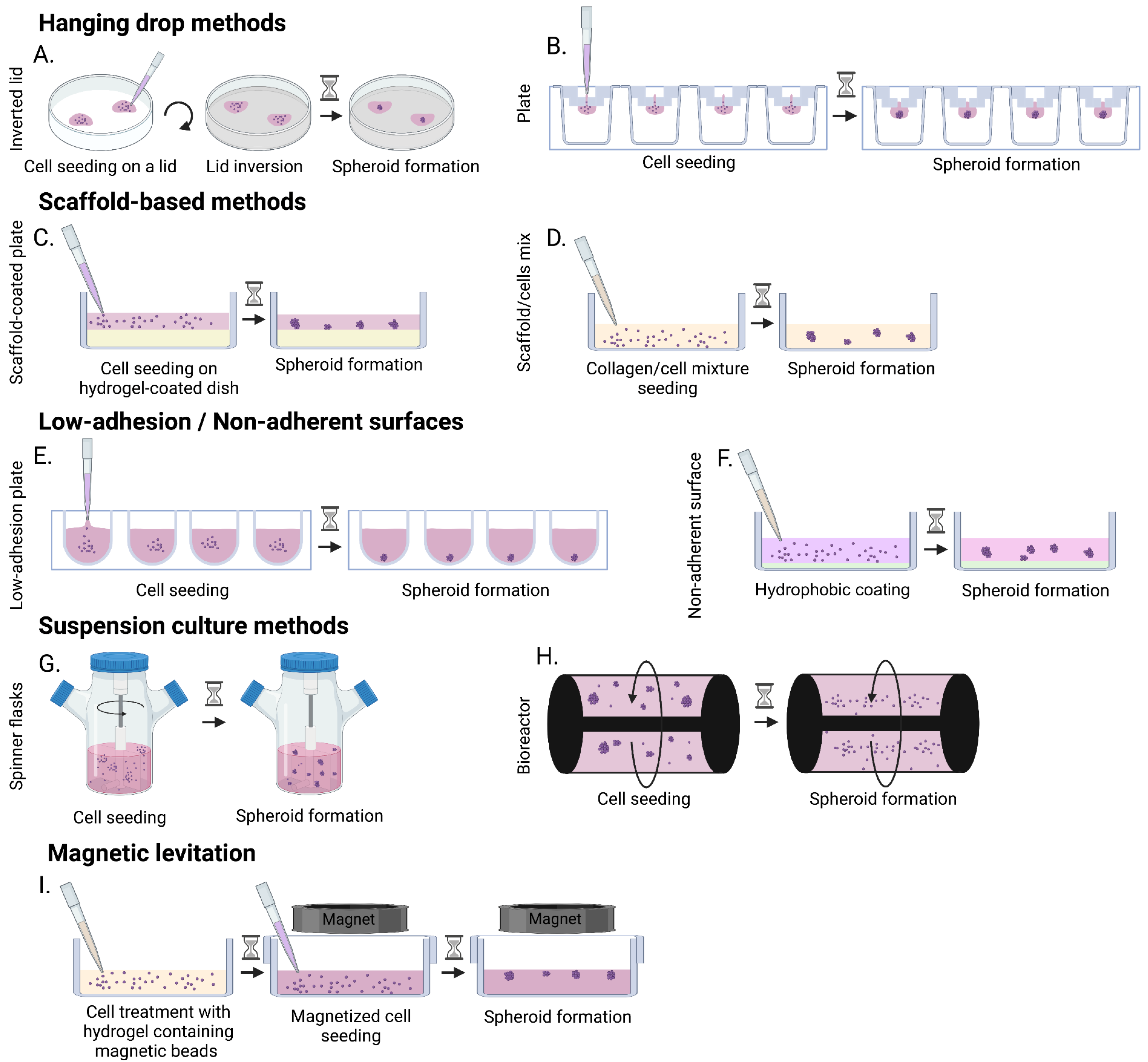 Bioengineering 10 00093 g002 Bioengineering 10 00093 g002