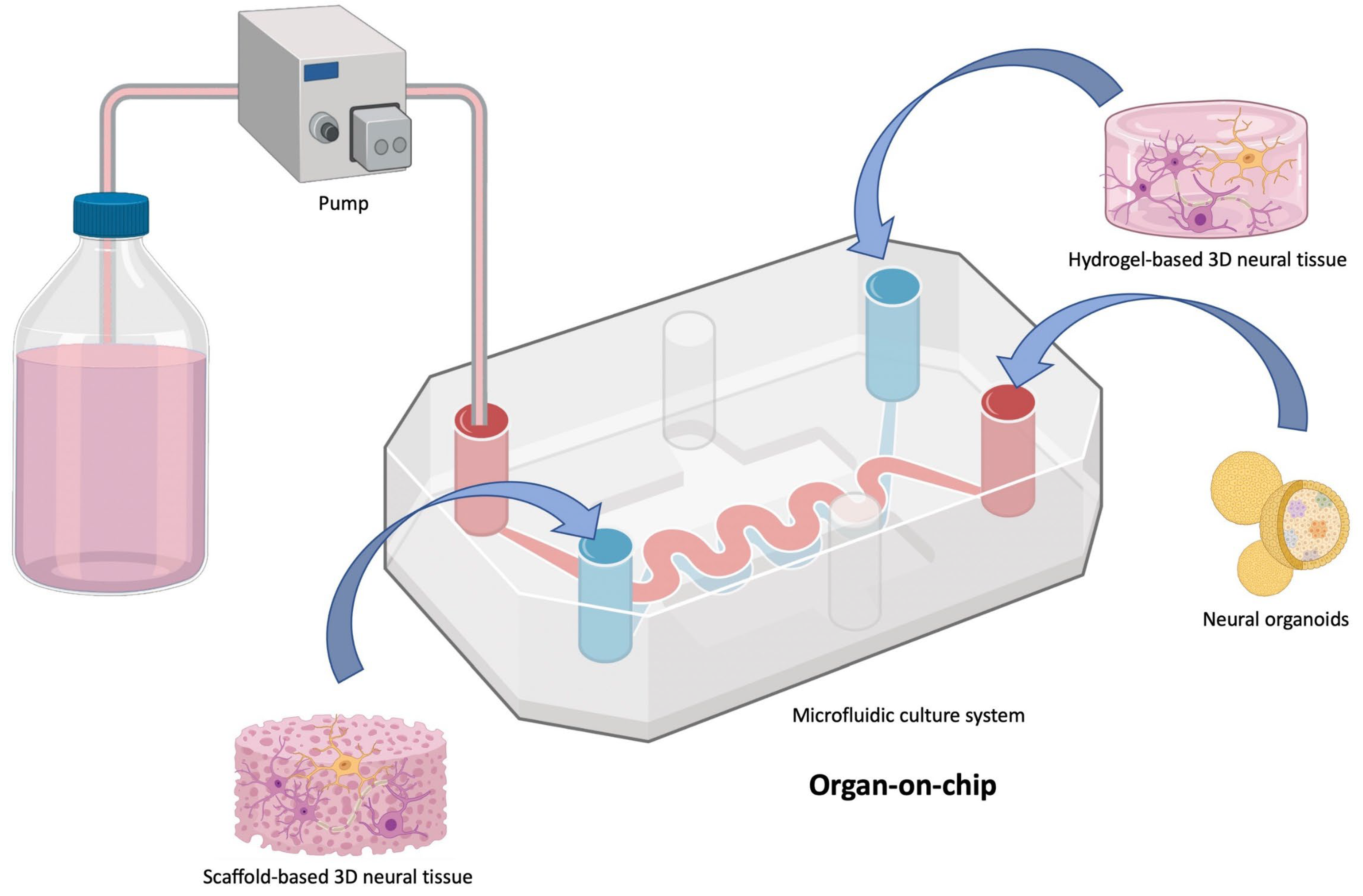 Bioengineering 10 00093 g004 Bioengineering 10 00093 g004