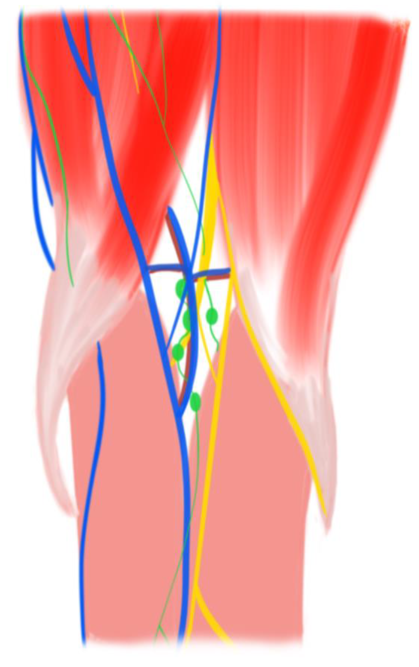 Bioengineering 10 00095 g001 Bioengineering 10 00095 g001