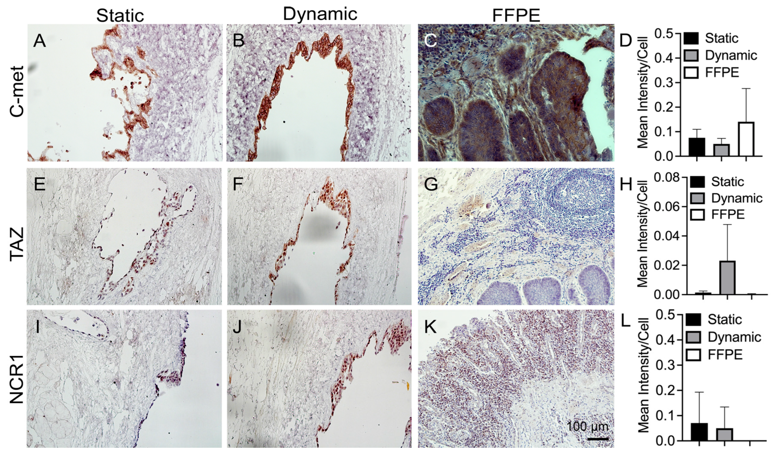 Bioengineering 10 00096 g008 Bioengineering 10 00096 g008