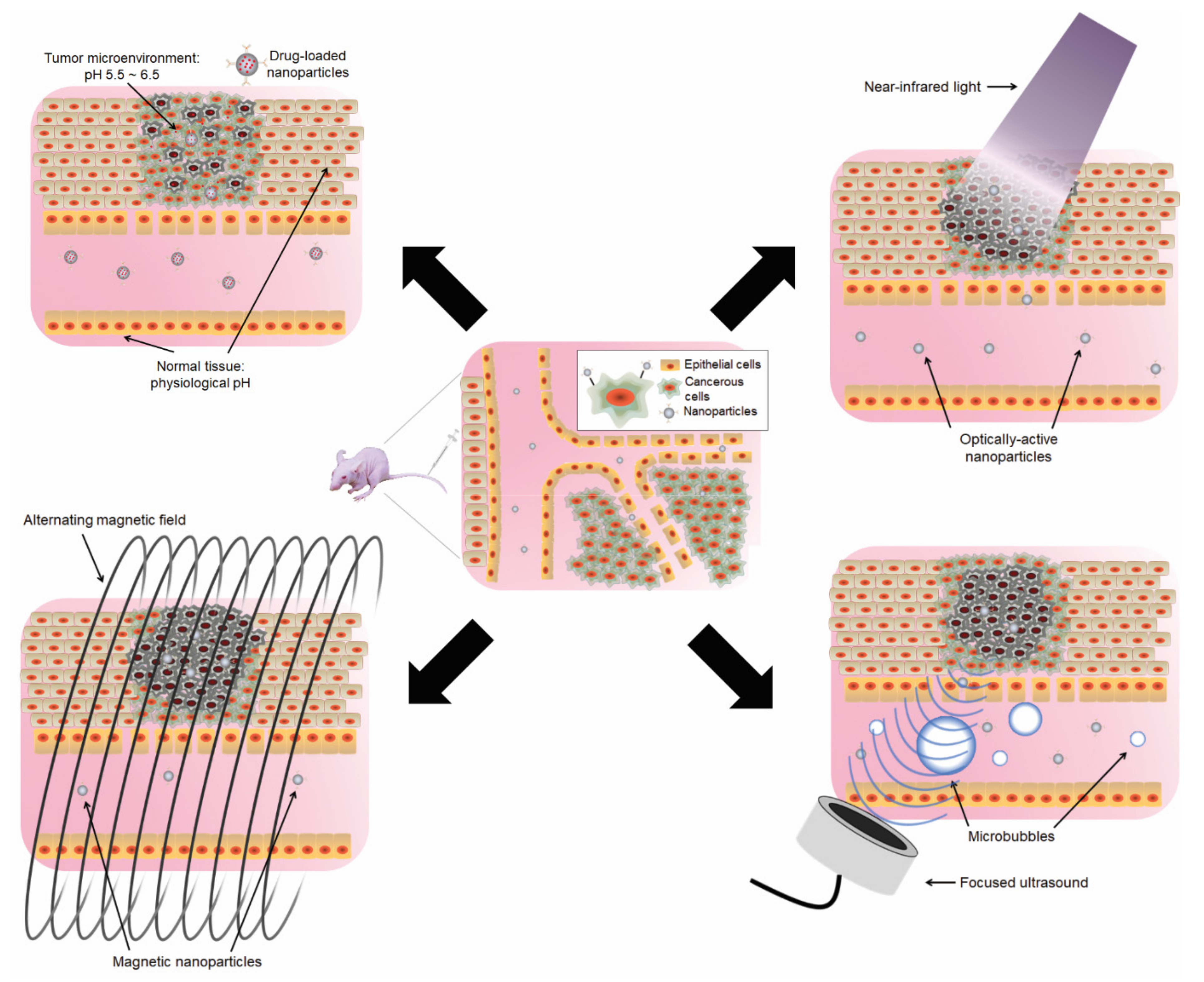 https://www.mdpi.com/bioengineering/bioengineering-10-00108/article_deploy/html/images/bioengineering-10-00108-g001.png