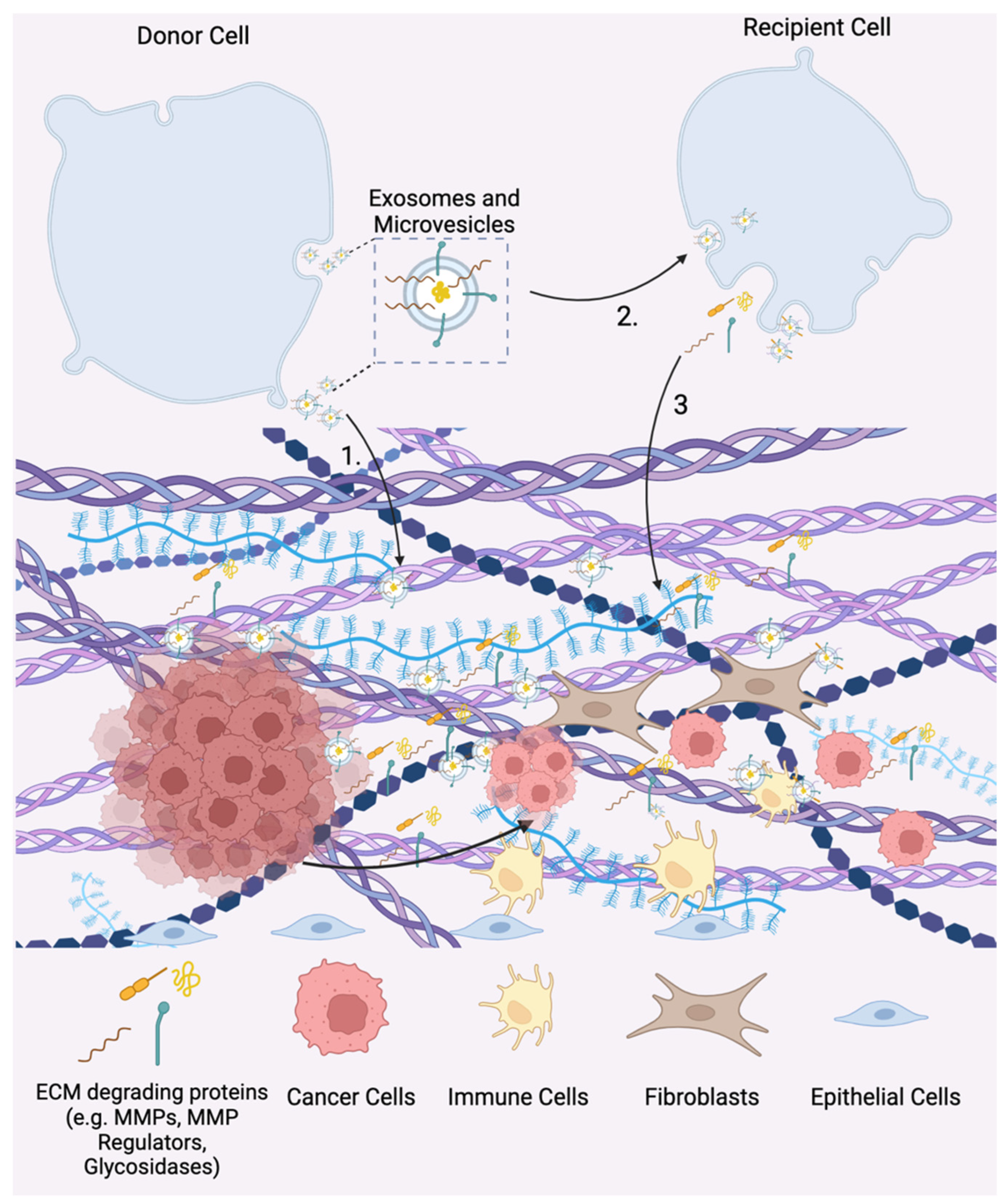 Bioengineering 10 00136 g003 Bioengineering 10 00136 g003