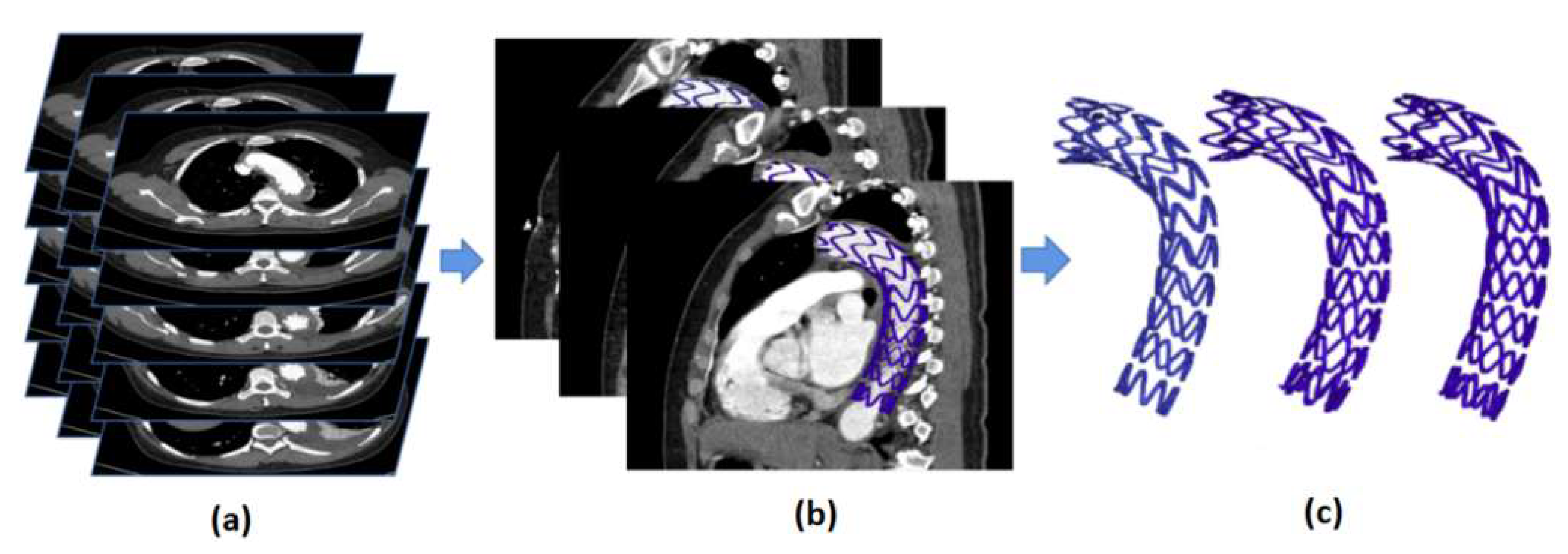 Bioengineering 10 00139 g002 Bioengineering 10 00139 g002