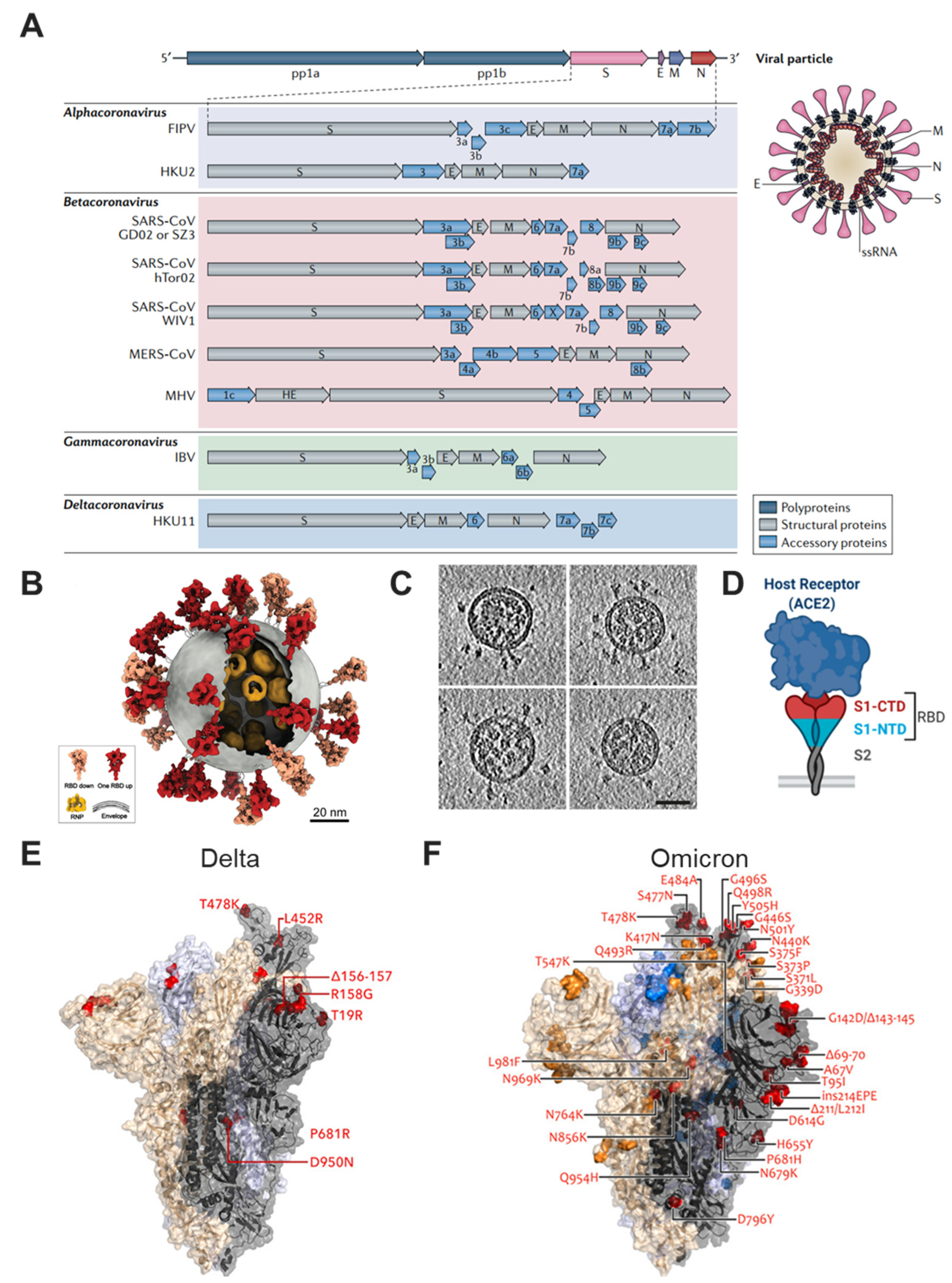 Denis Milne Hd Porn Video - Bioengineering | Free Full-Text | Advanced Vaccine Design Strategies  against SARS-CoV-2 and Emerging Variants