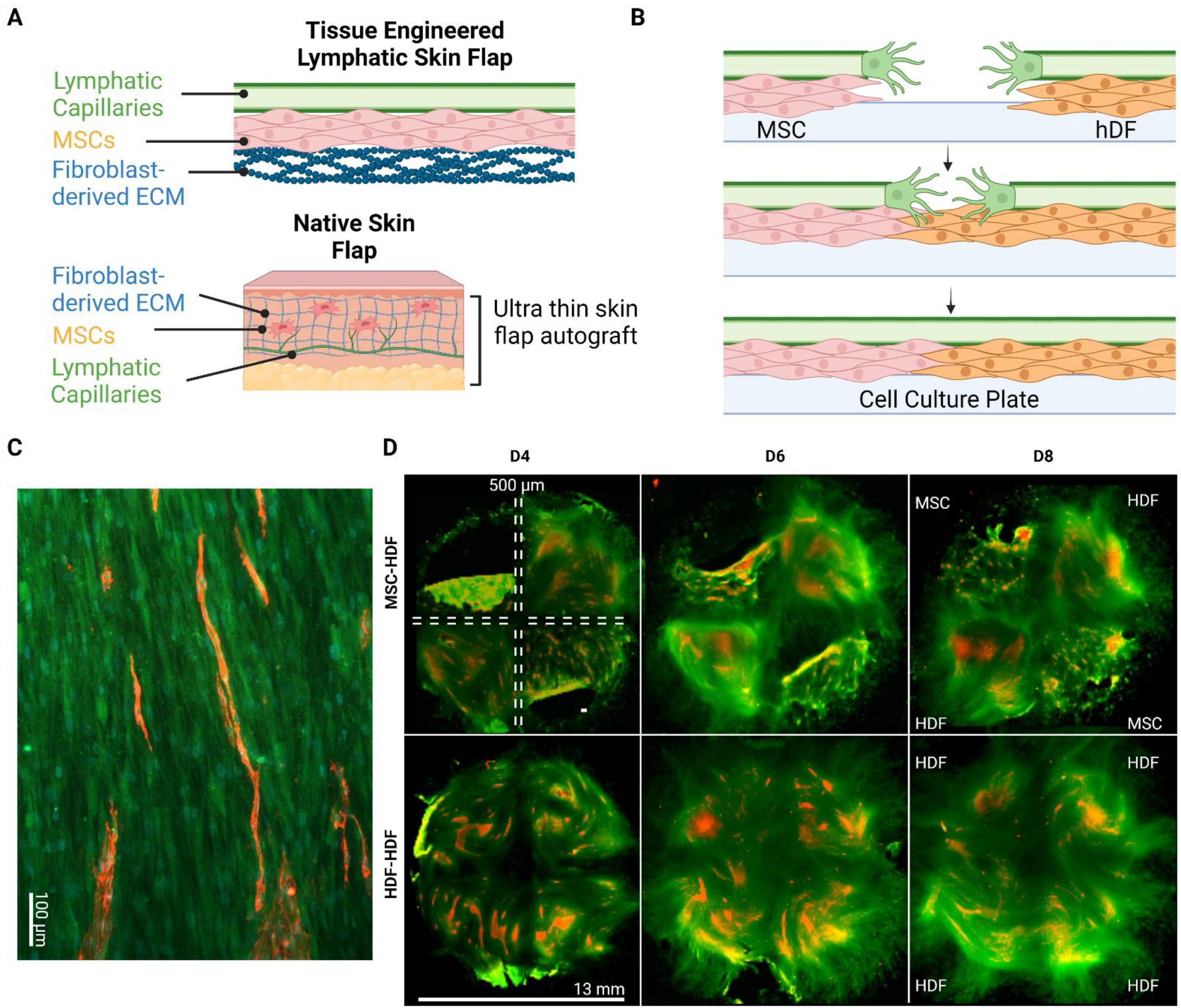 Bioengineering 10 00149 g002