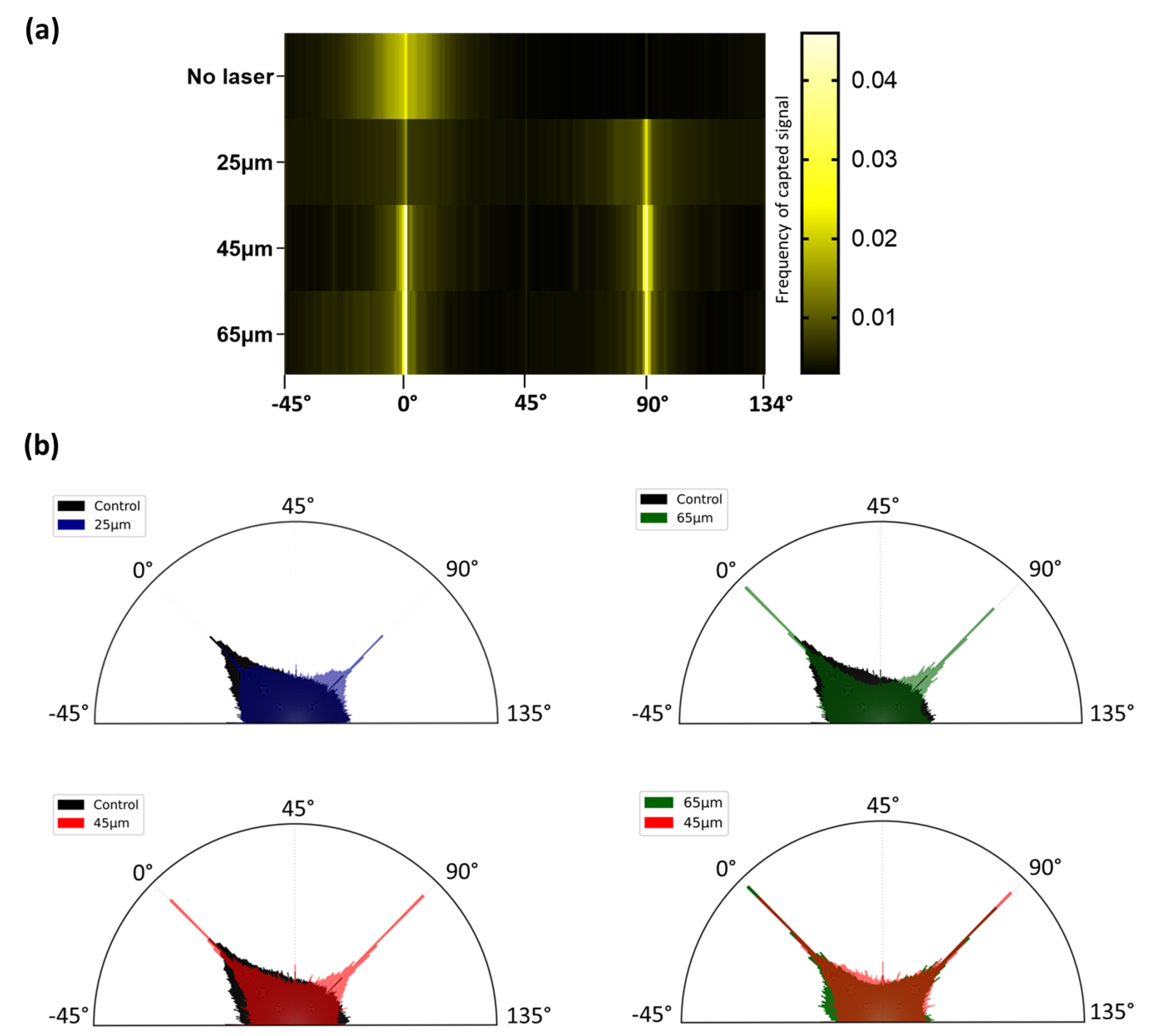 Bioengineering 10 00155 g005