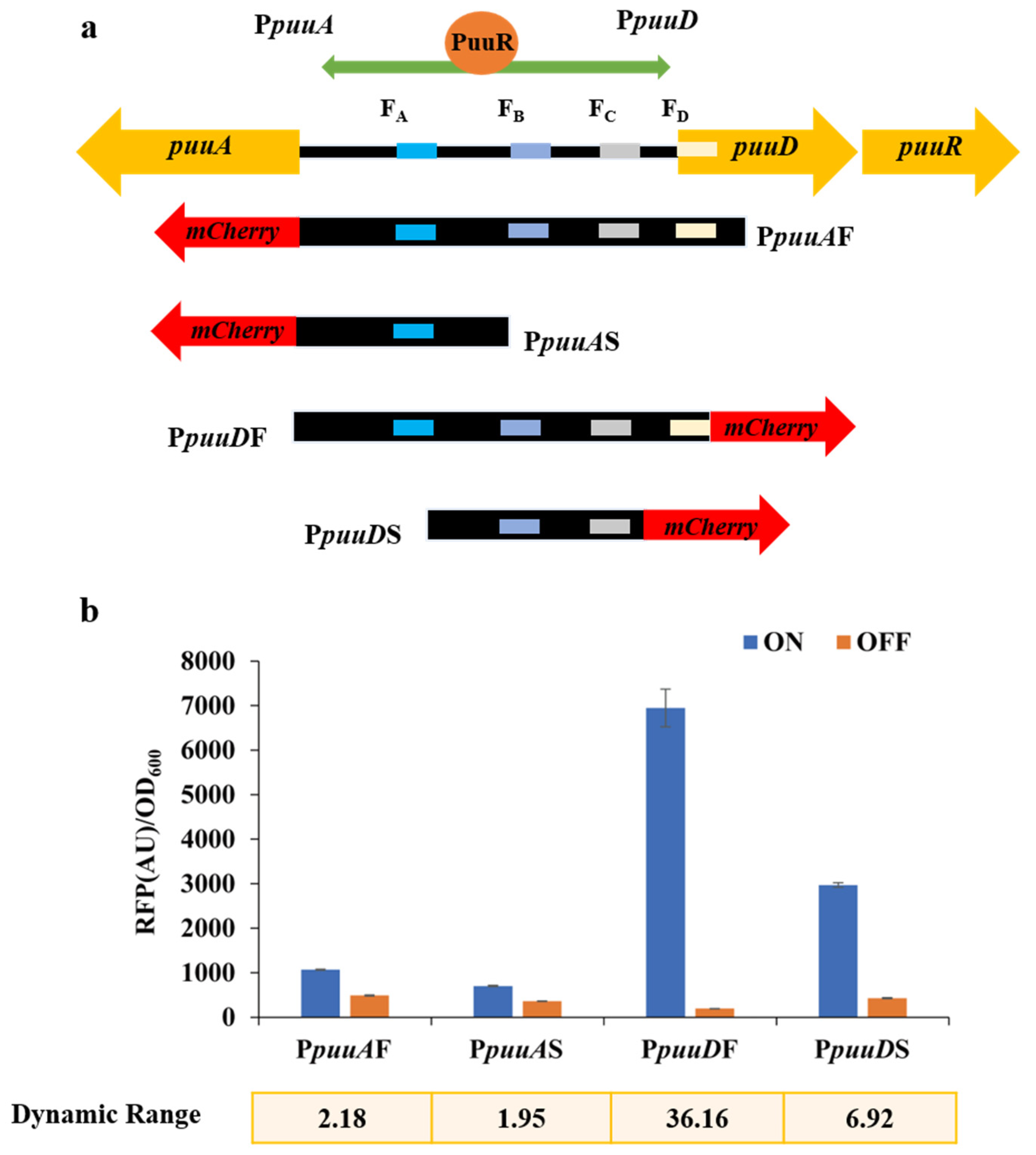 Bioengineering 10 00157 g001