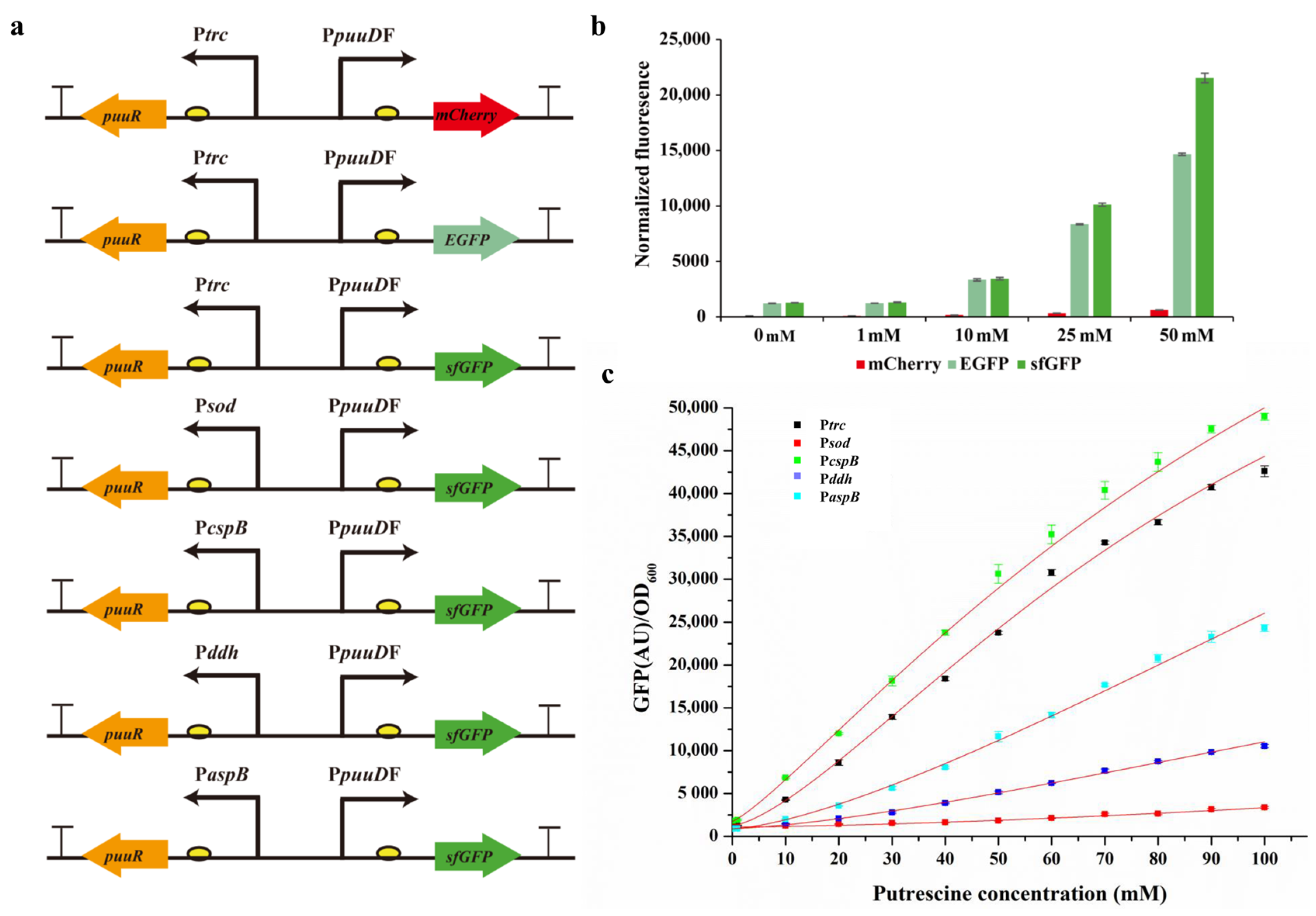 Bioengineering 10 00157 g004
