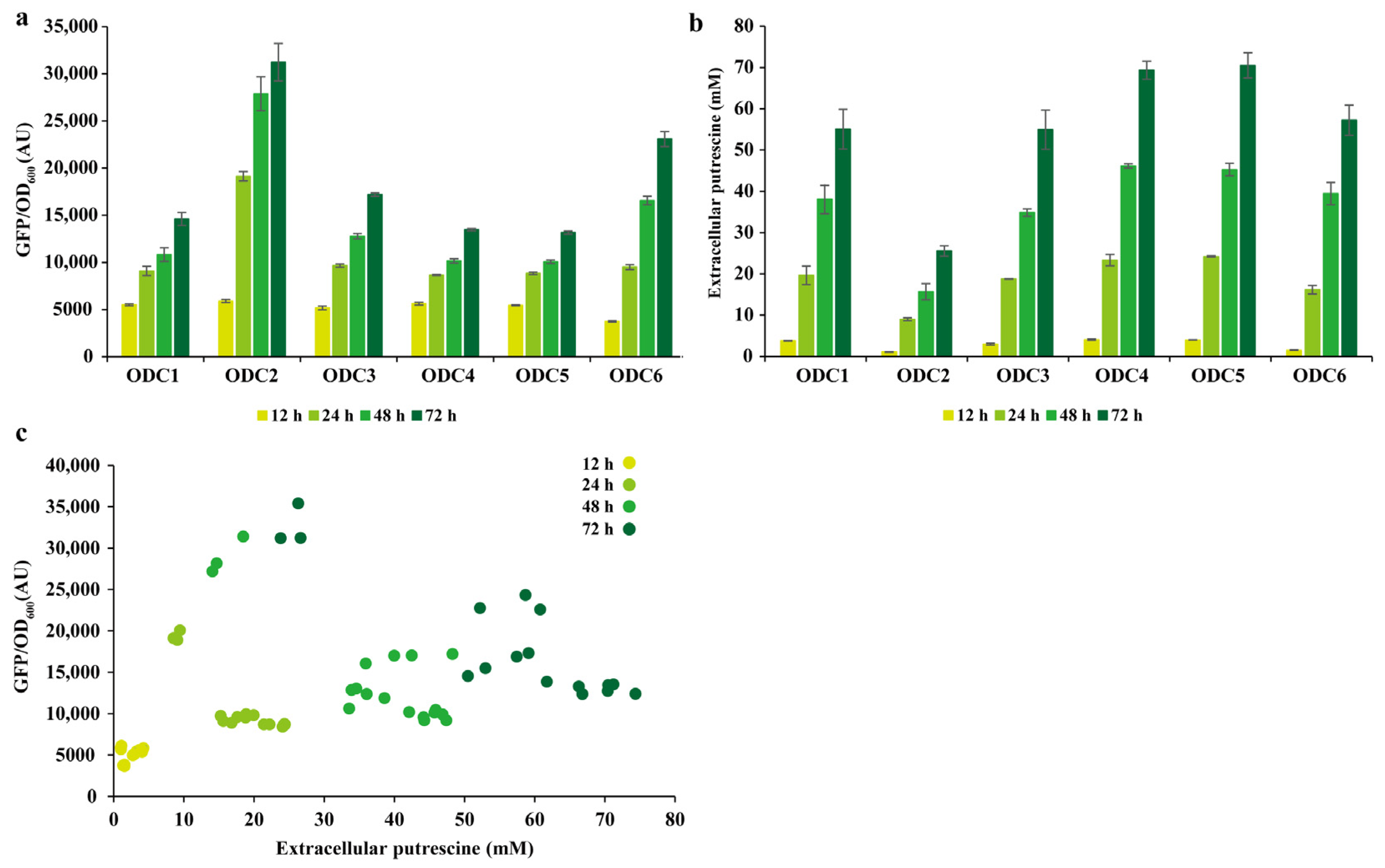 Bioengineering 10 00157 g006